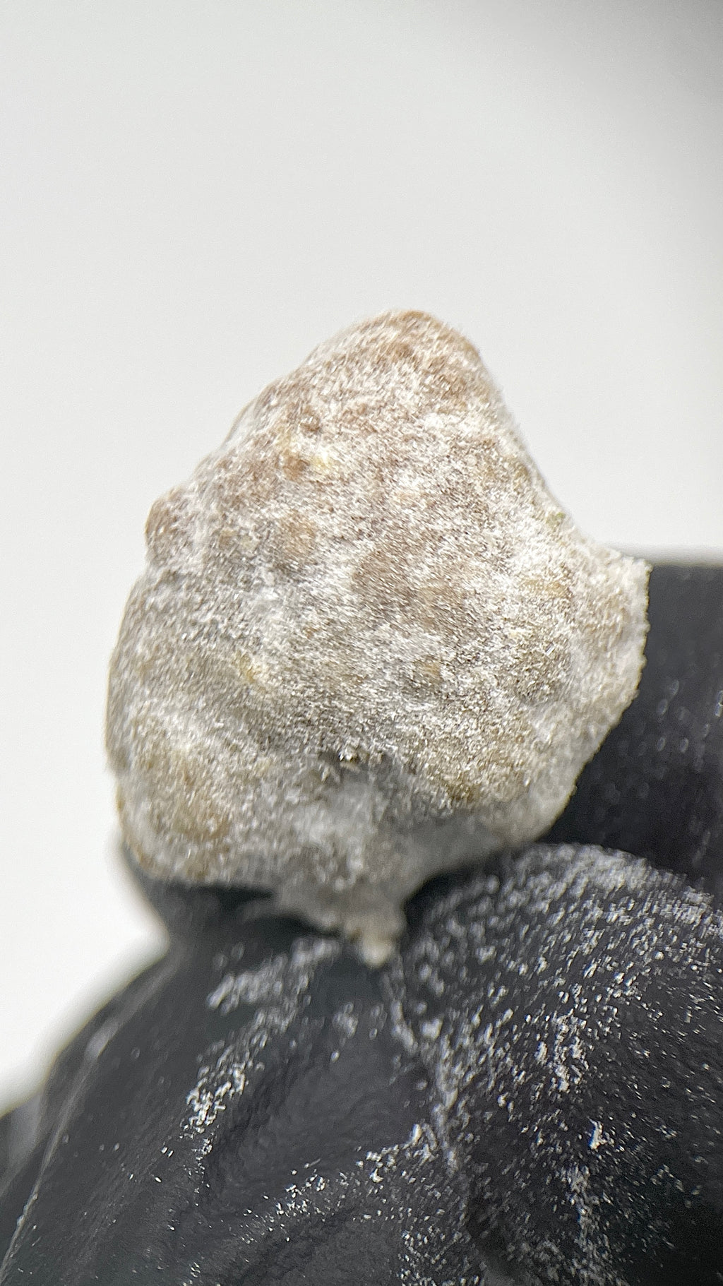 ICE MOONROCKS Ekstrakt konopny CBD DELUXE