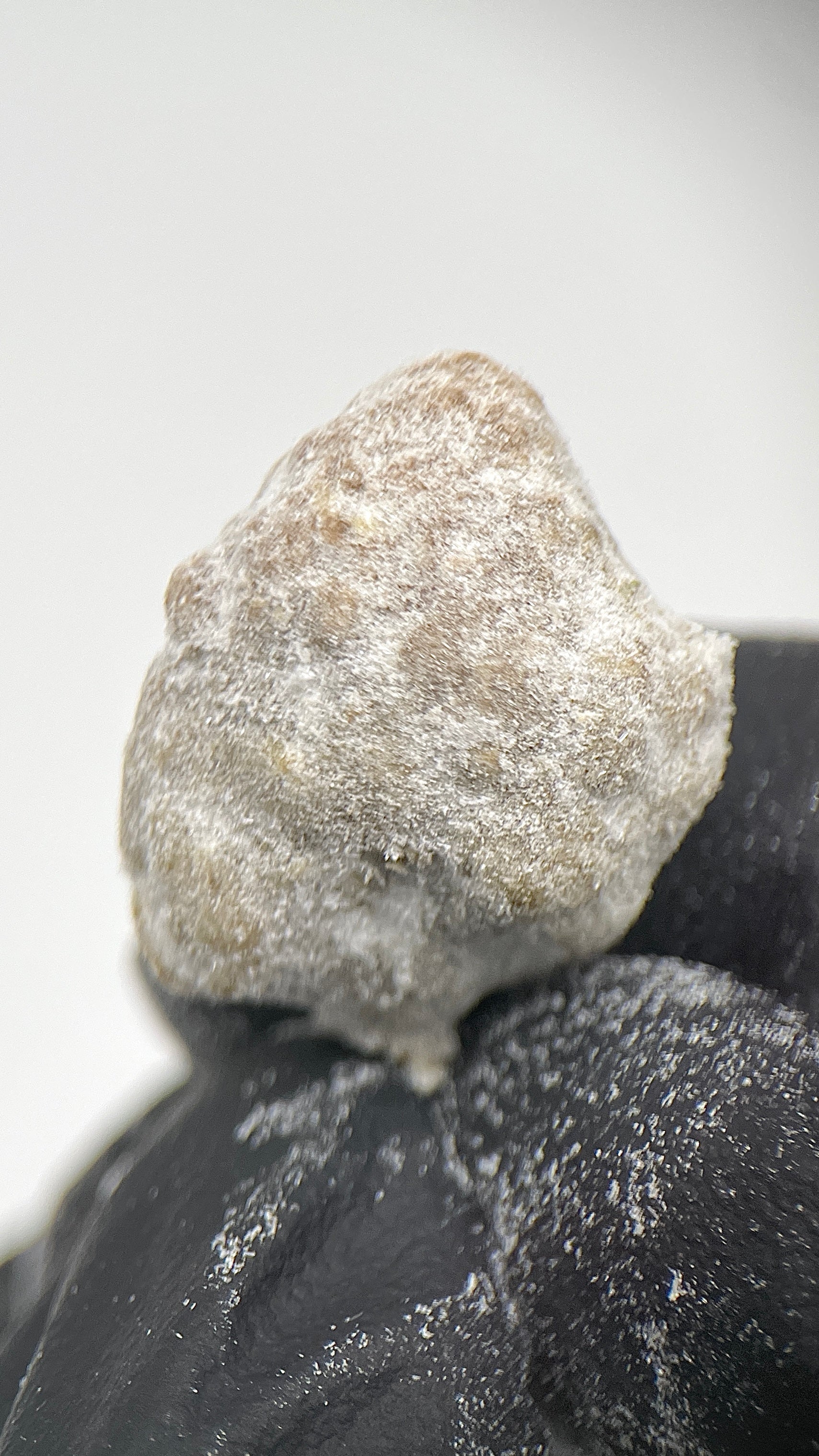 ICE MOONROCKS Ekstrakt konopny CBD DELUXE