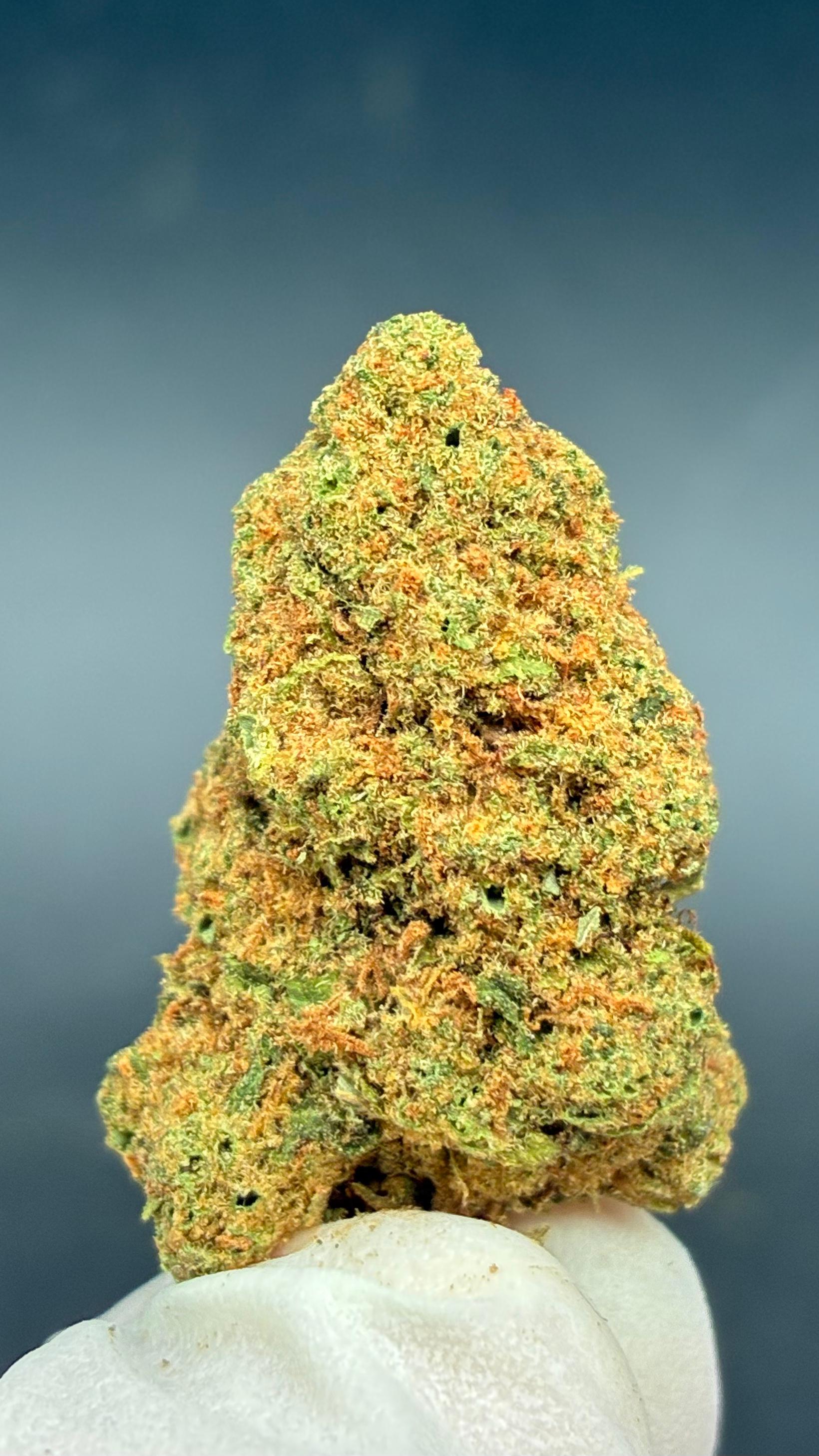 BLUEBERRY SOUR Susz konopny CBD DELUXE