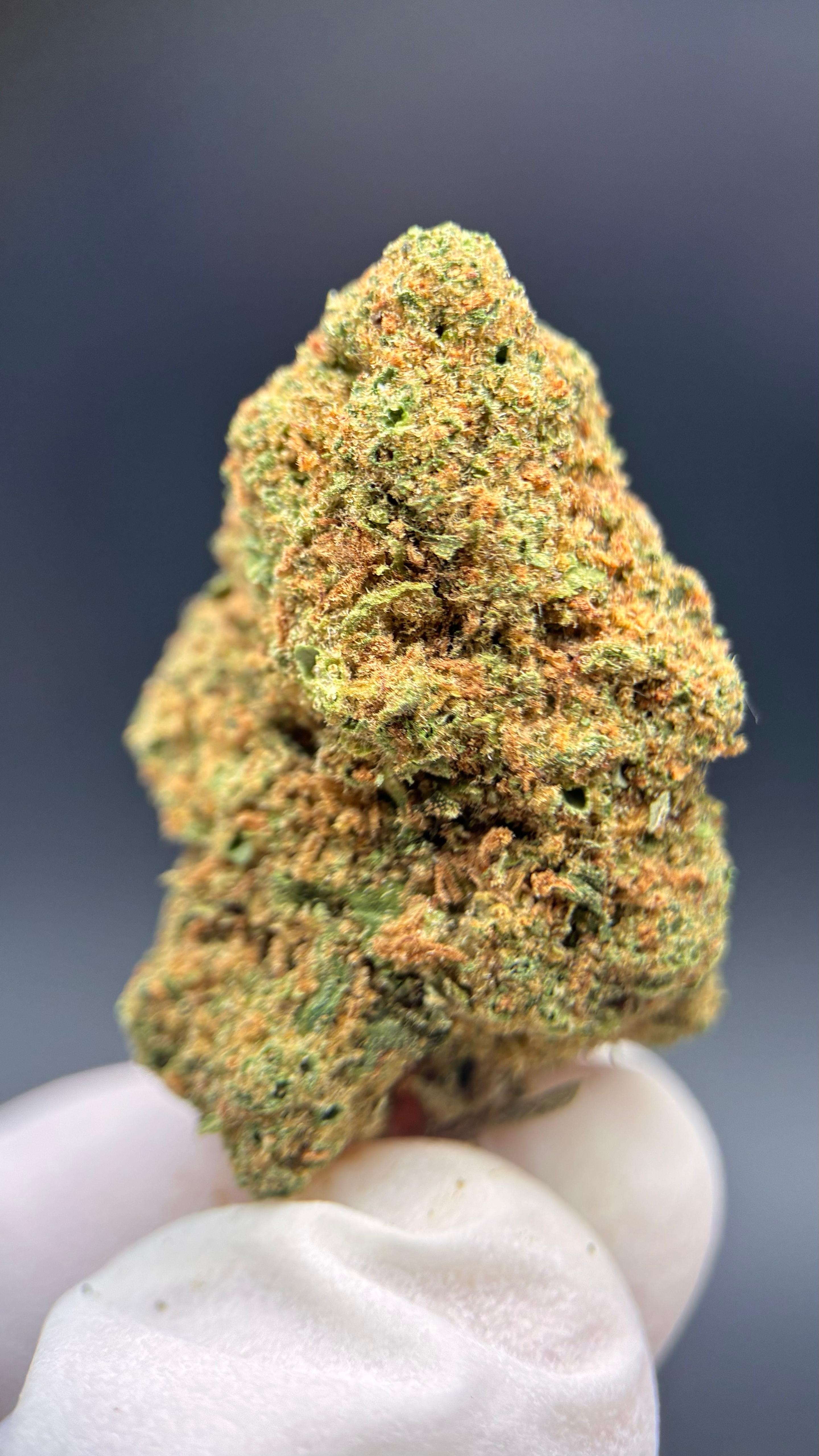 BLUEBERRY SOUR Susz konopny CBD DELUXE