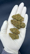 BUBBLEGUM Susz konopny CBD DELUXE