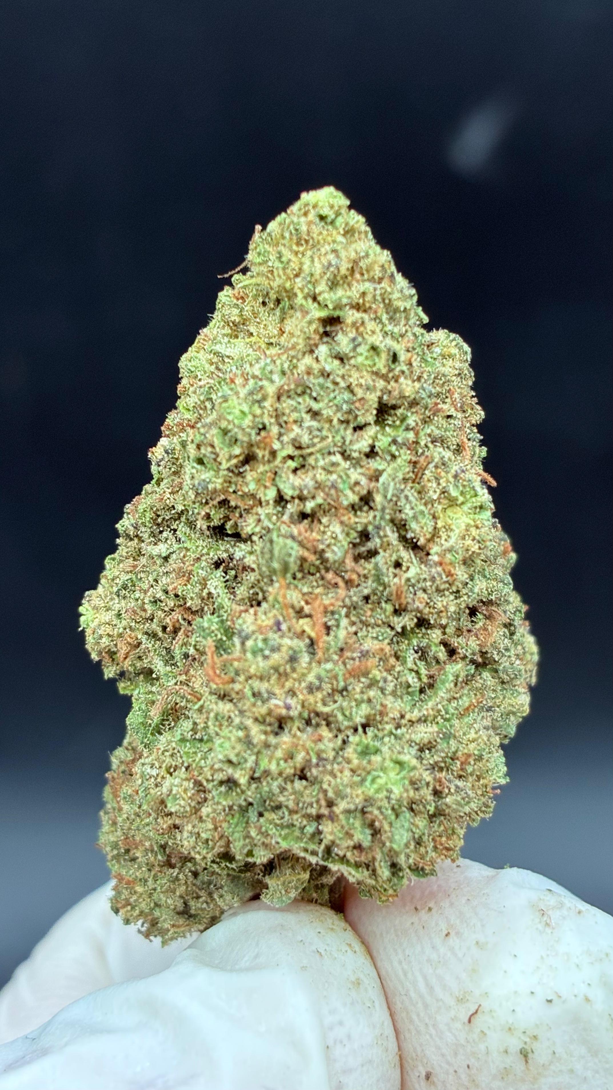 CANDY GAS Susz konopny CBD DELUXE
