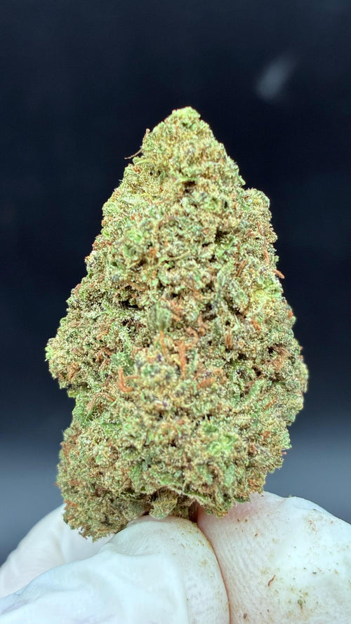 CANDY GAS Susz konopny CBD DELUXE