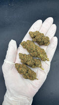 GARY PAYTON Susz konopny CBD DELUXE