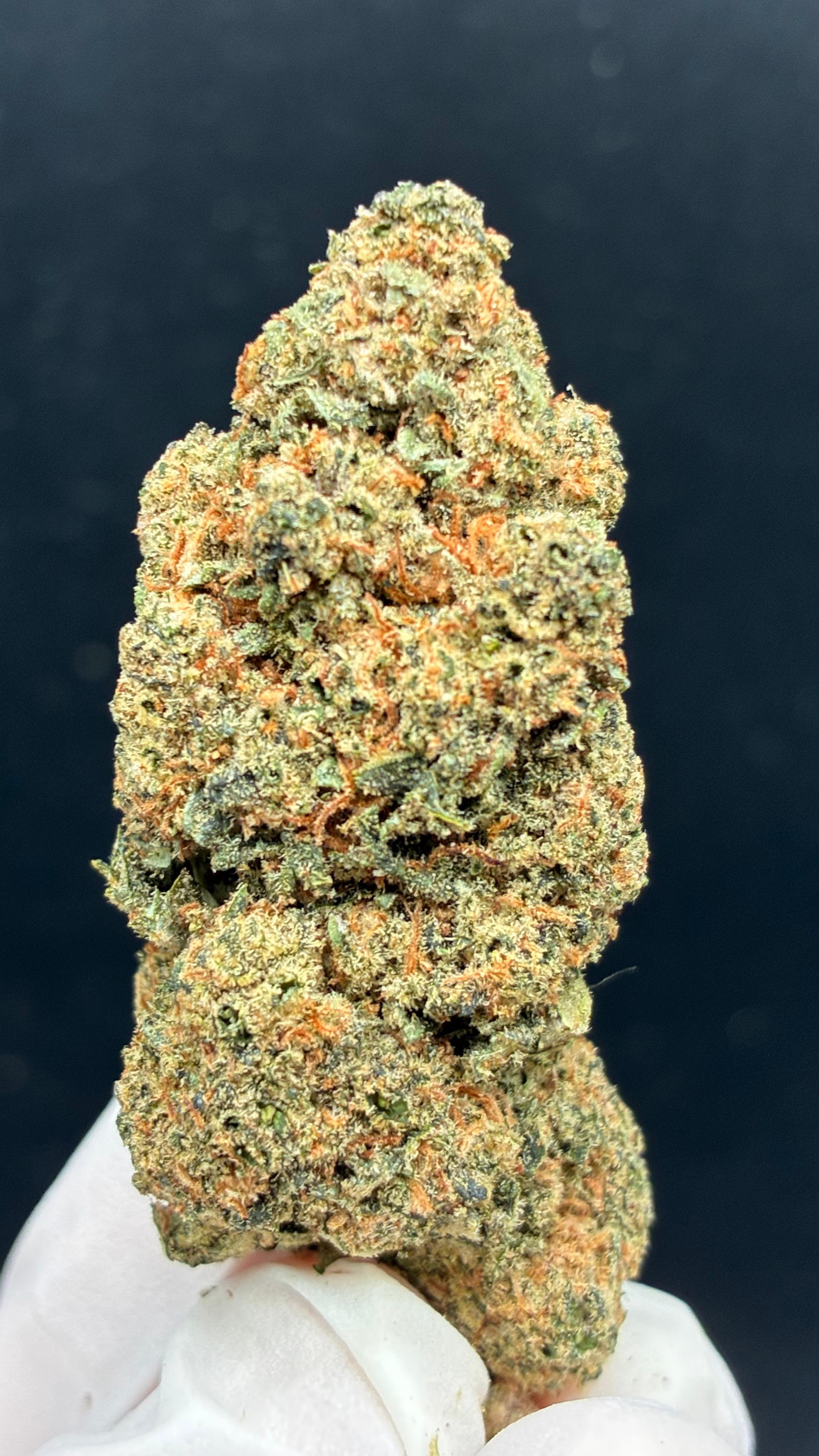 GARY PAYTON Susz konopny CBD DELUXE