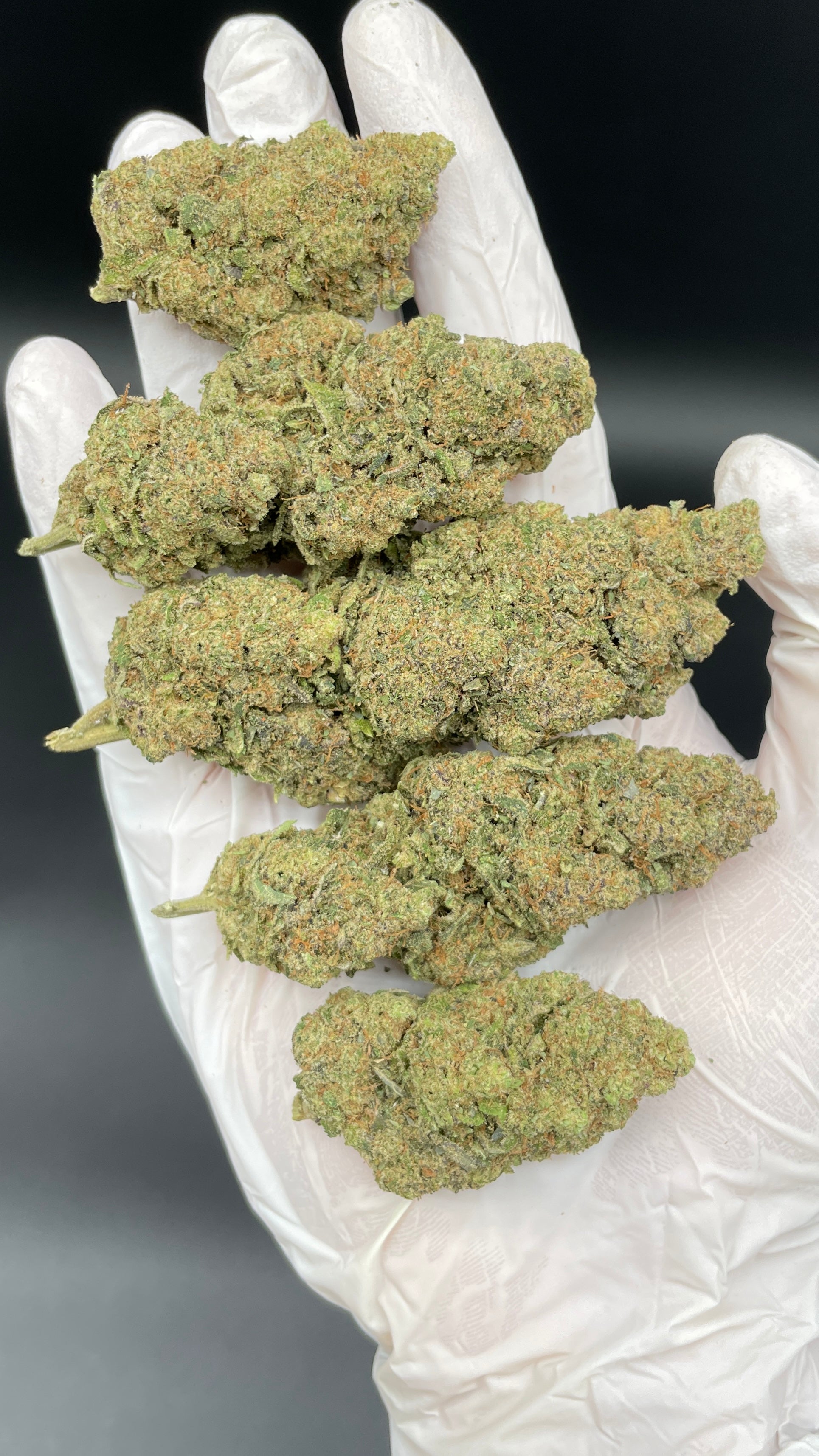 GUSH MINTZ Susz konopny CBD DELUXE