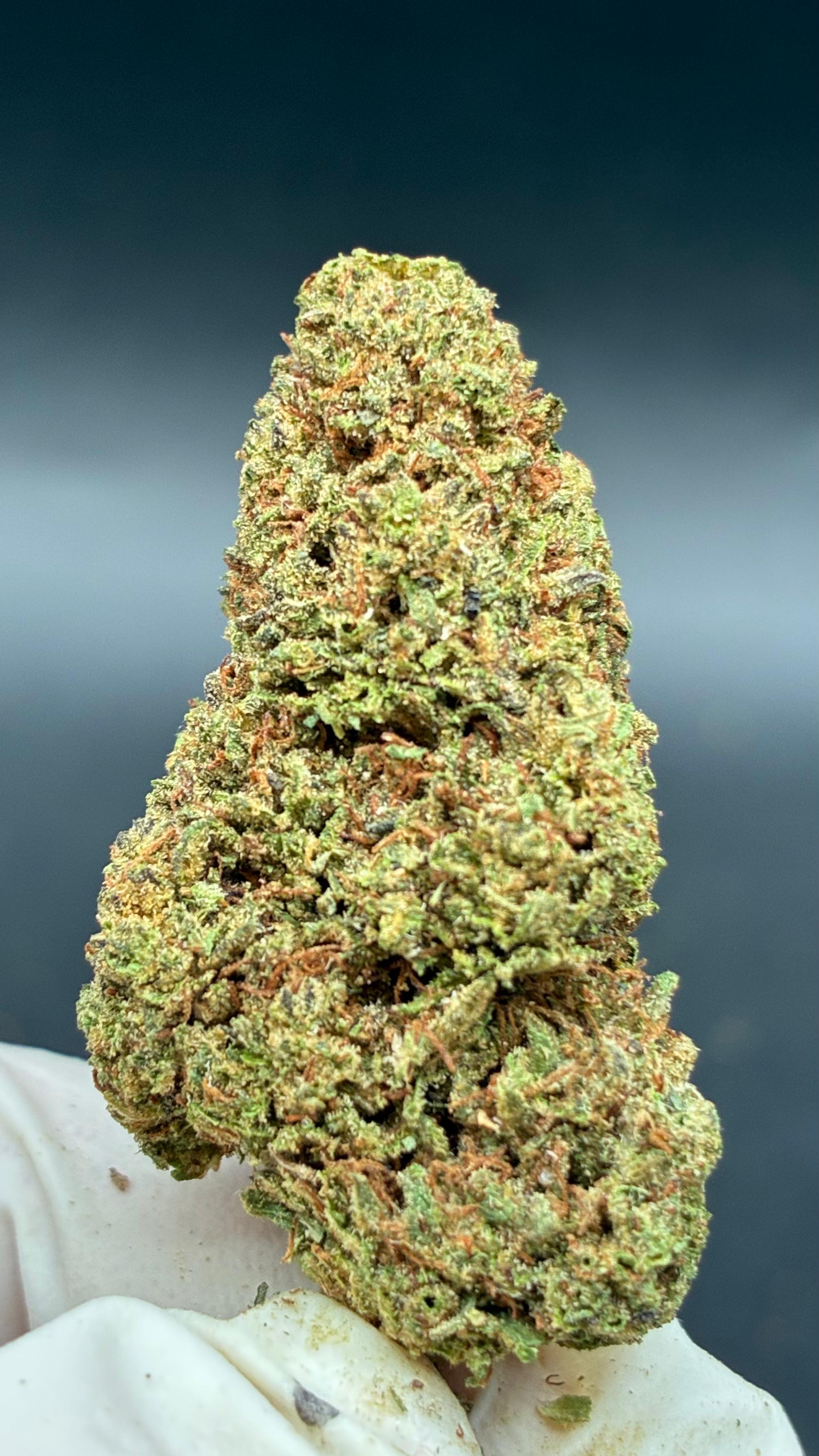 JOKERZ Susz konopny CBD DELUXE