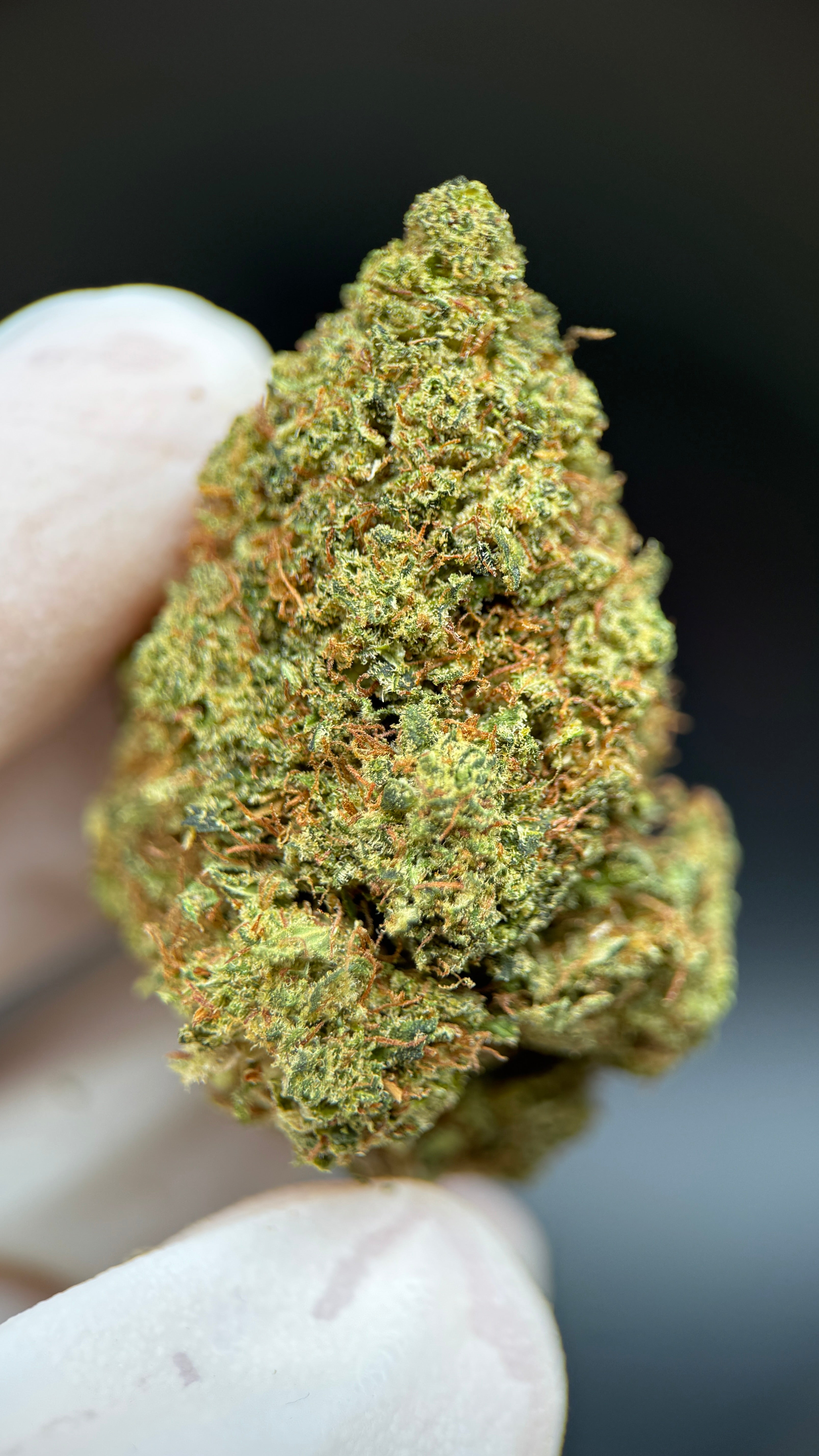 LEMON OCTANE Susz konopny CBD DELUXE