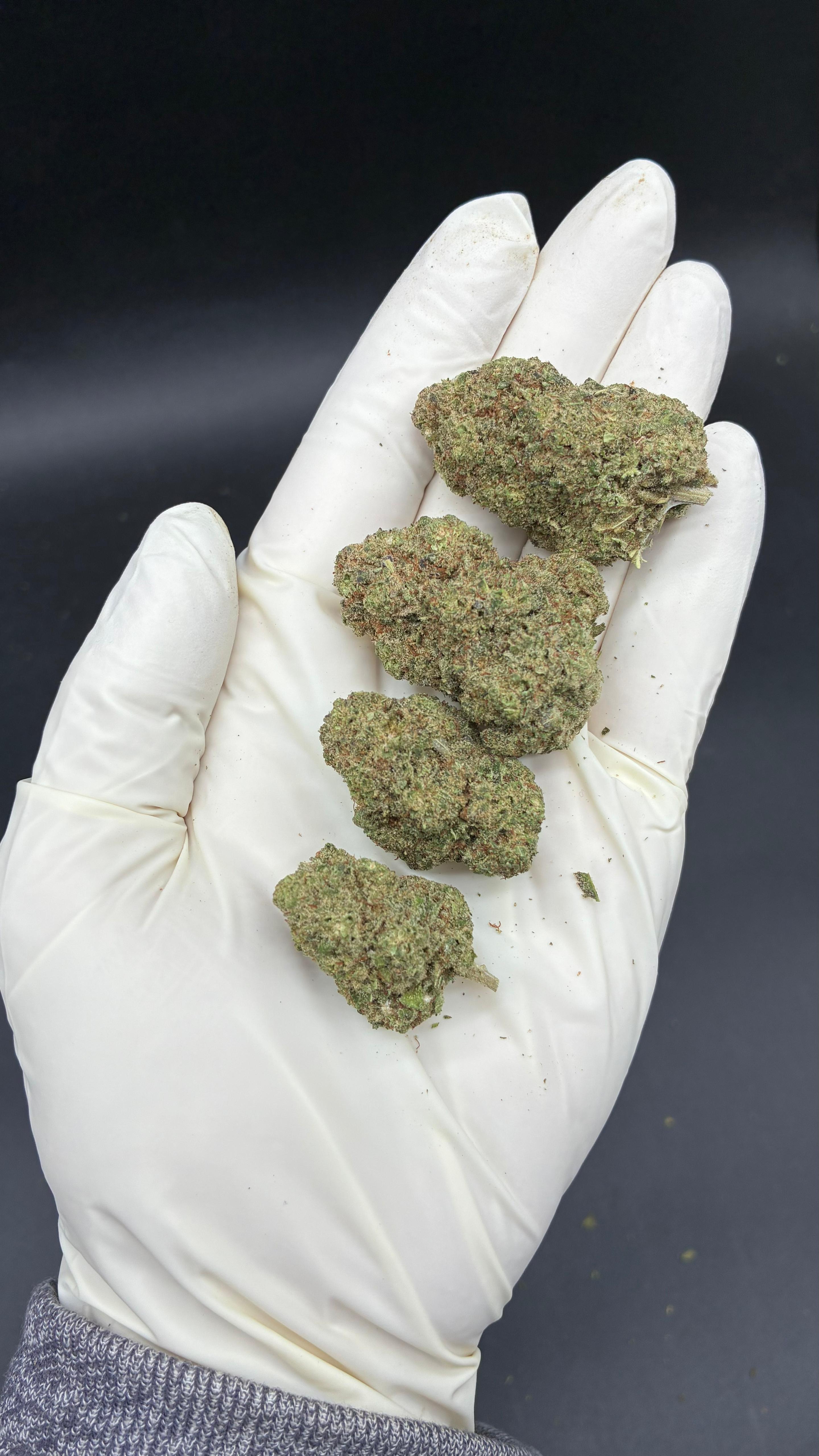 LONDON POUND CAKE Susz konopny CBD DELUXE