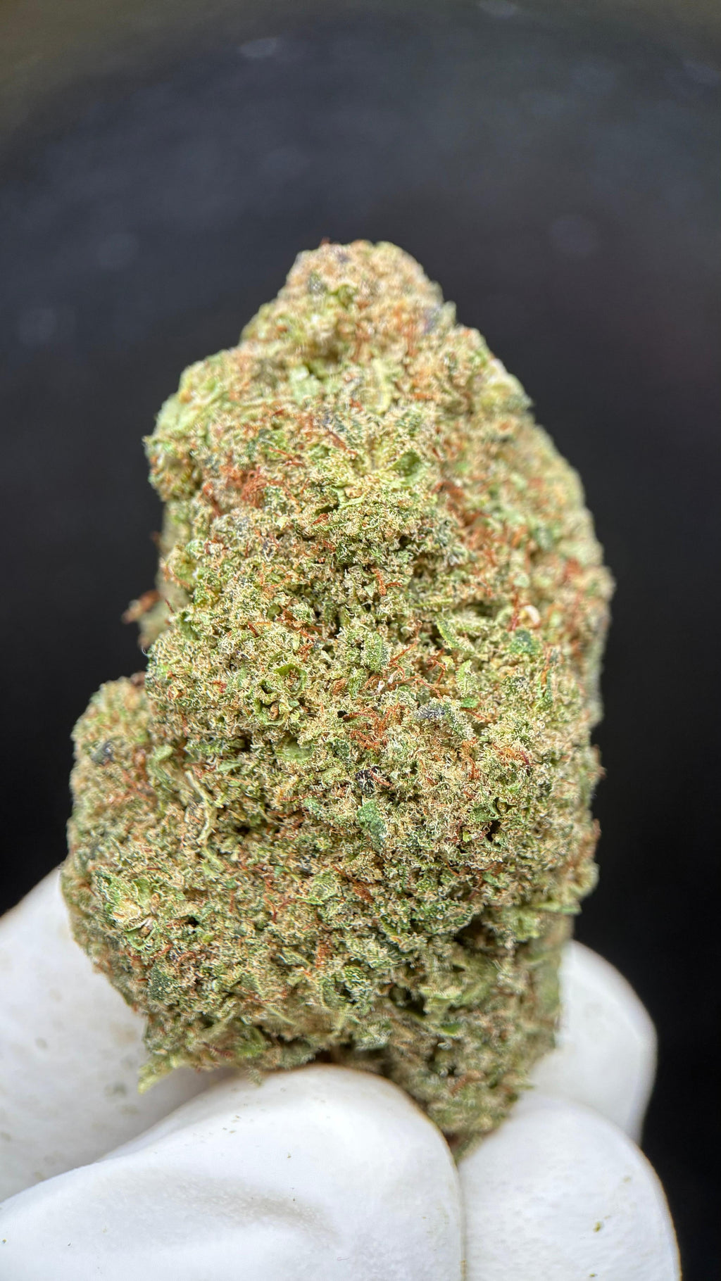 LONDON POUND CAKE Susz konopny CBD DELUXE