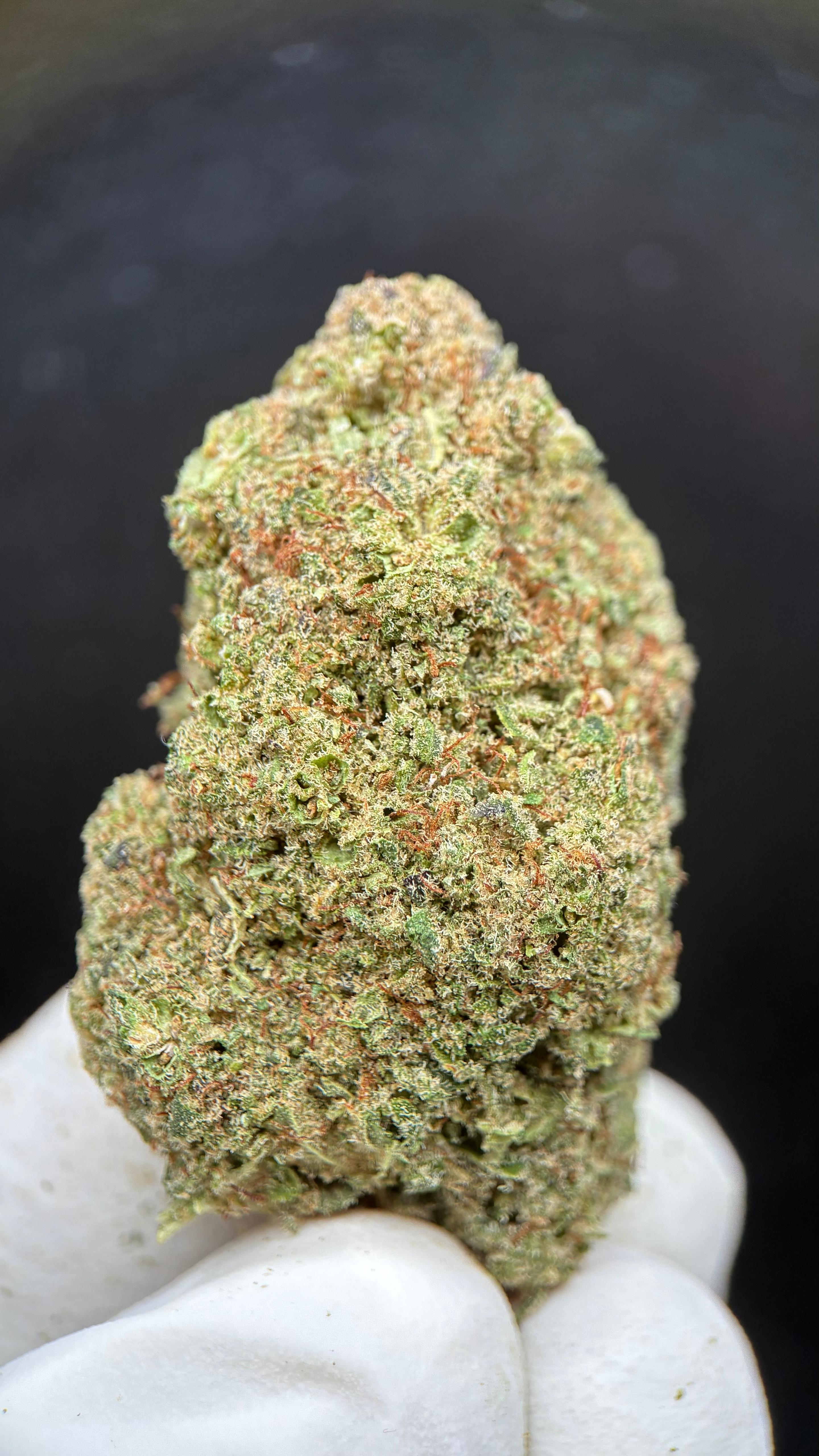 LONDON POUND CAKE Susz konopny CBD DELUXE