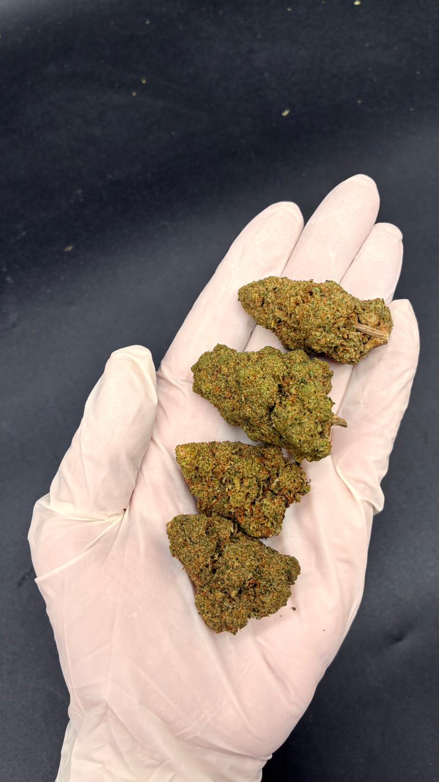MIMOSA Susz konopny CBD DELUXE
