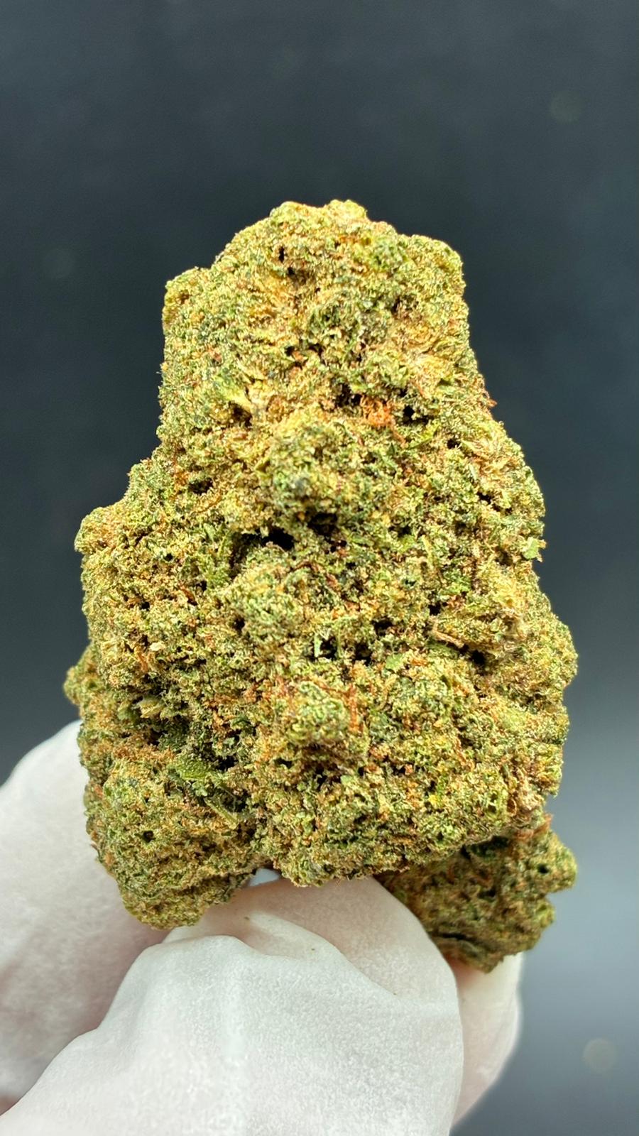 MIMOSA Susz konopny CBD DELUXE