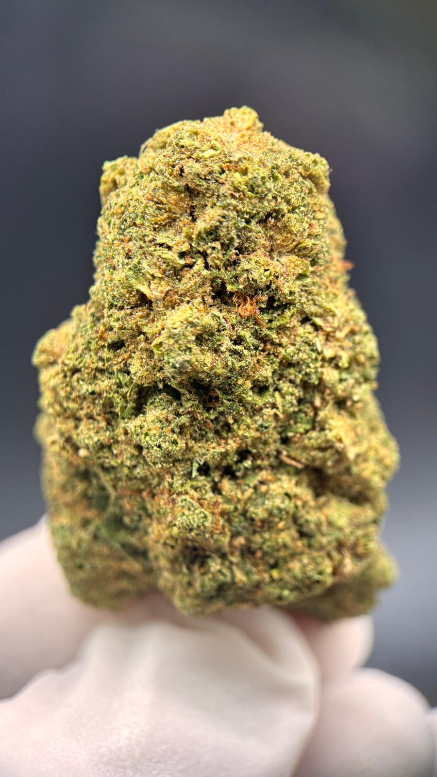 MIMOSA Susz konopny CBD DELUXE