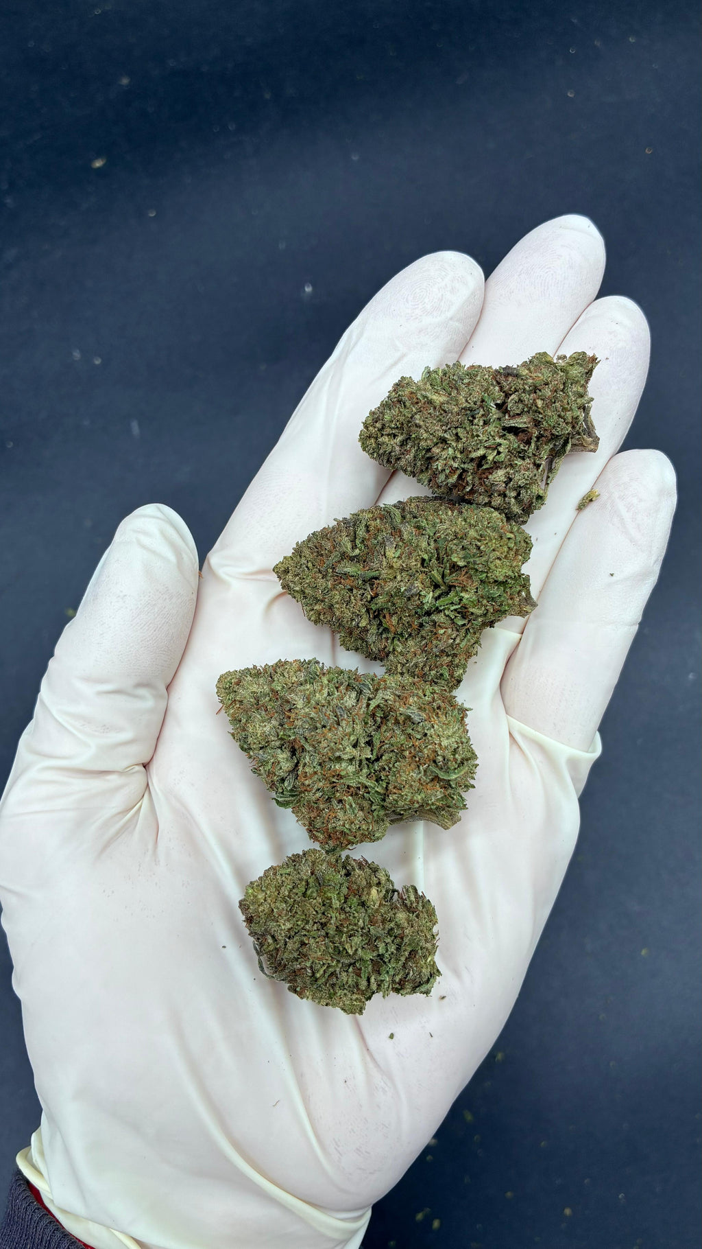 MOTOR BREATH Susz konopny CBD DELUXE
