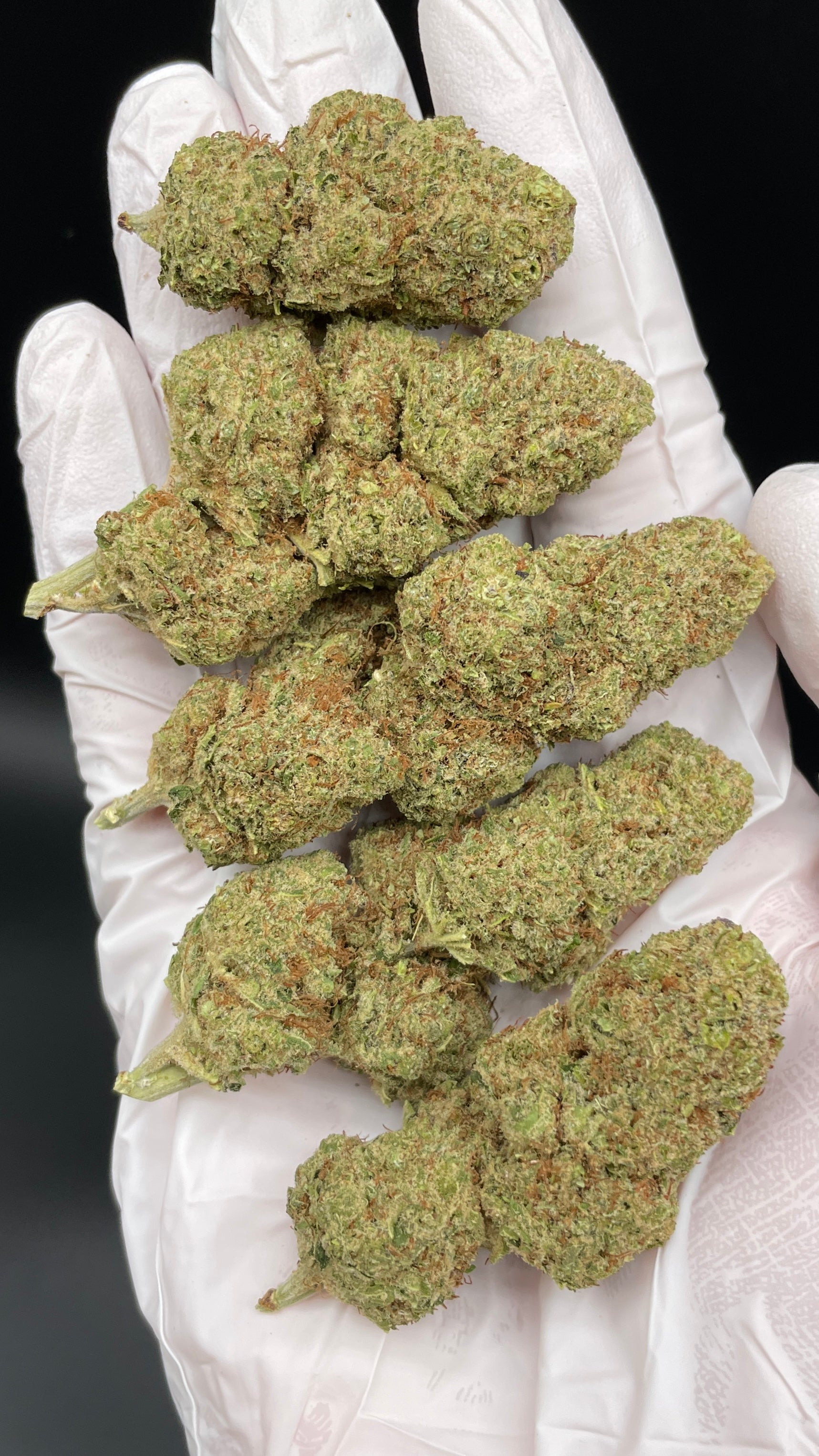 ORANGE SHERBET Susz konopny CBD DELUXE