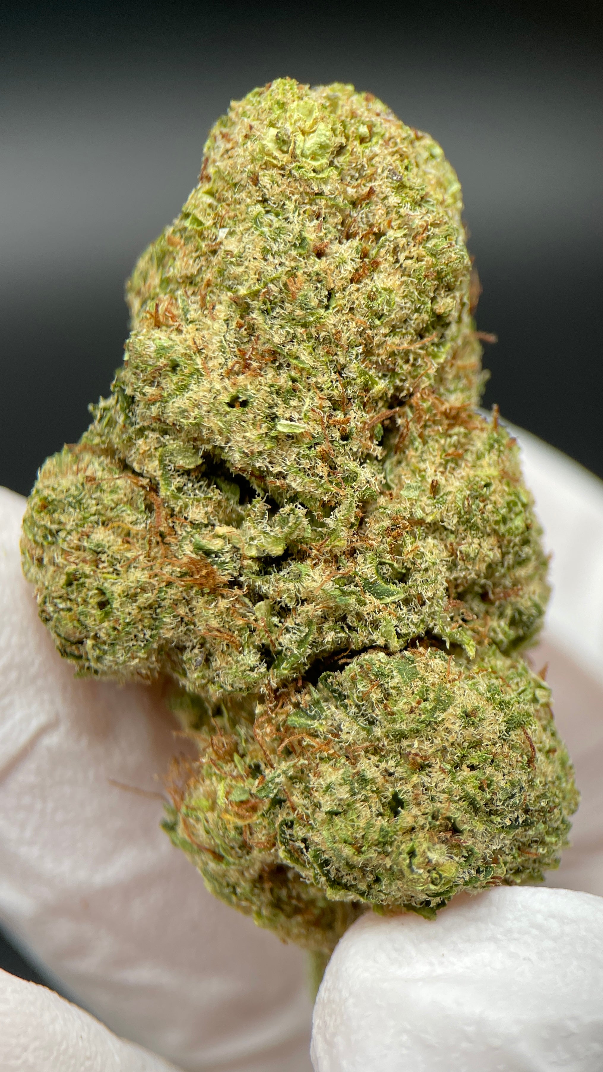 ORANGE SHERBET Susz konopny CBD DELUXE