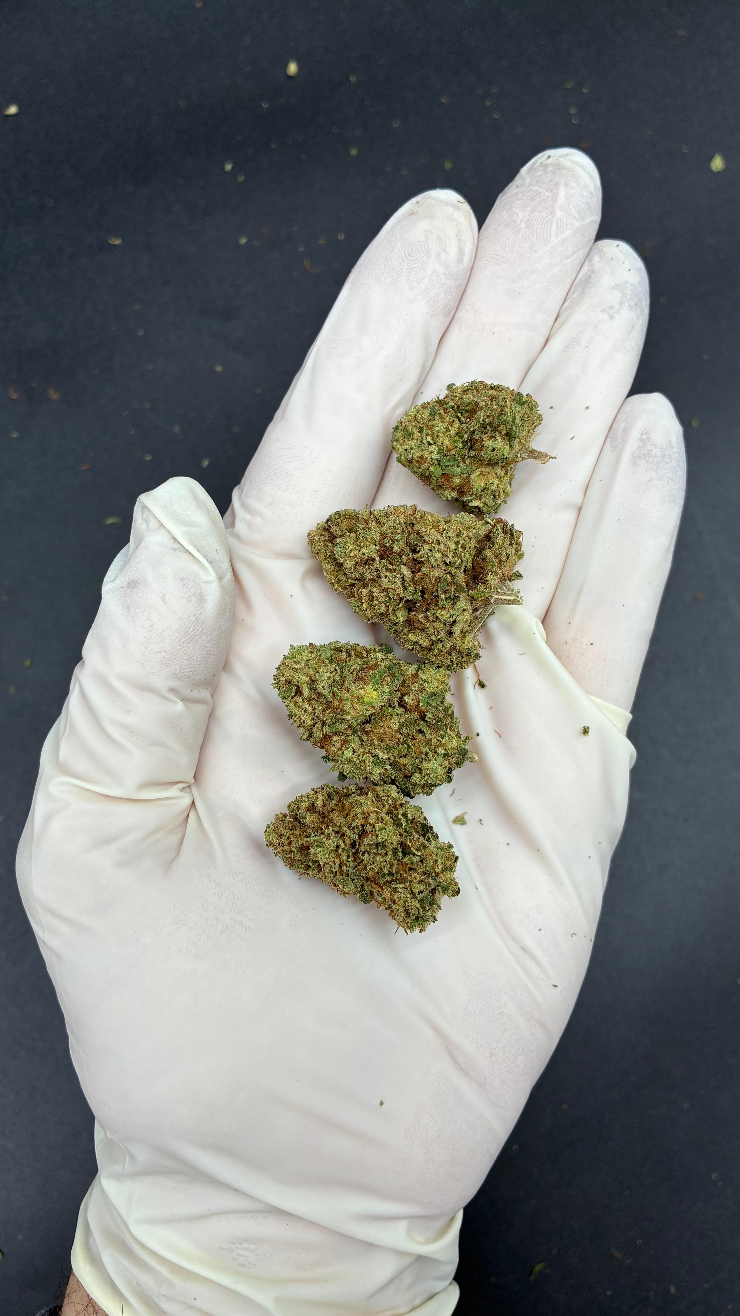 SHERBLATO Susz konopny CBD DELUXE