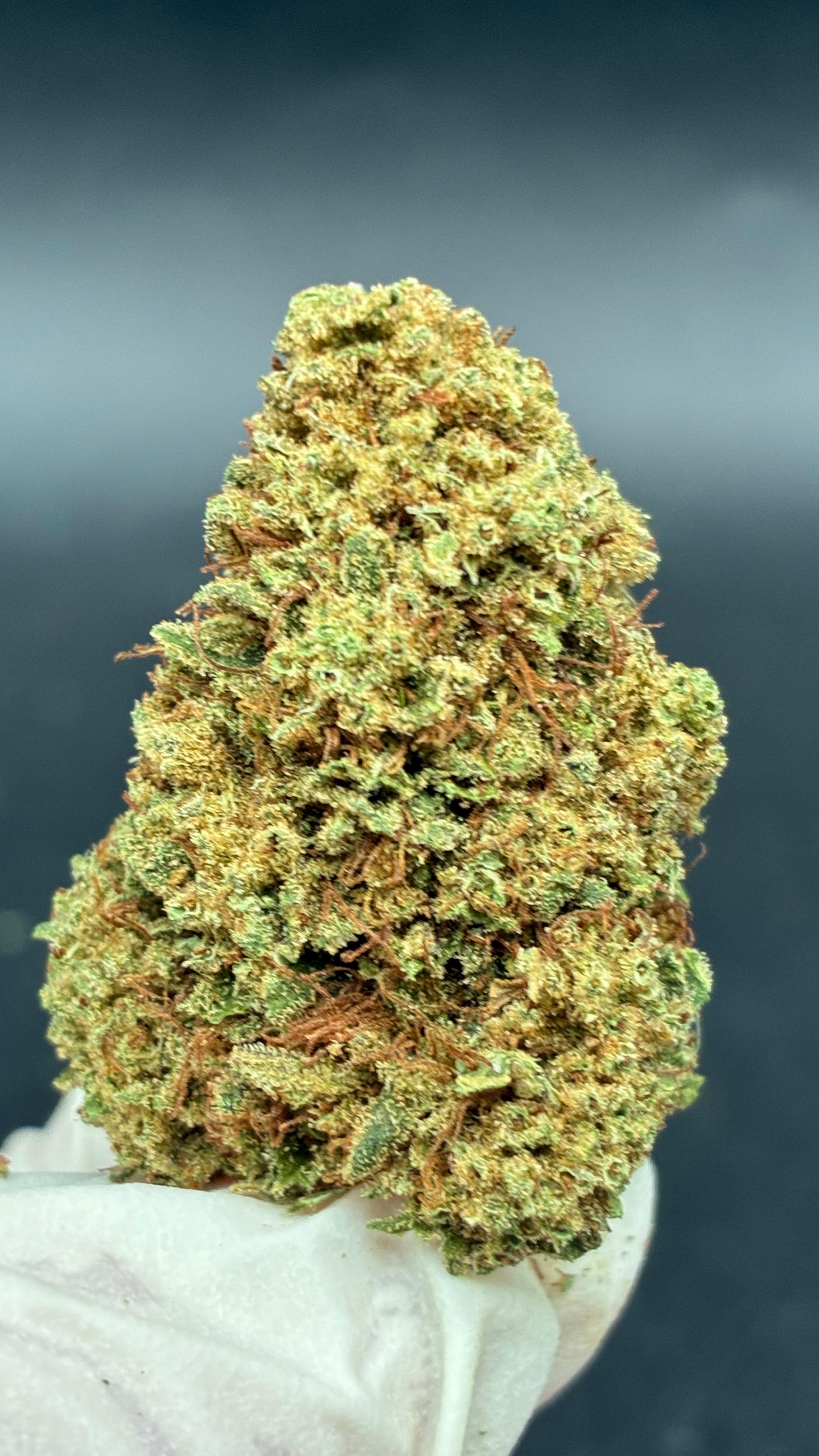 SHERBLATO Susz konopny CBD DELUXE