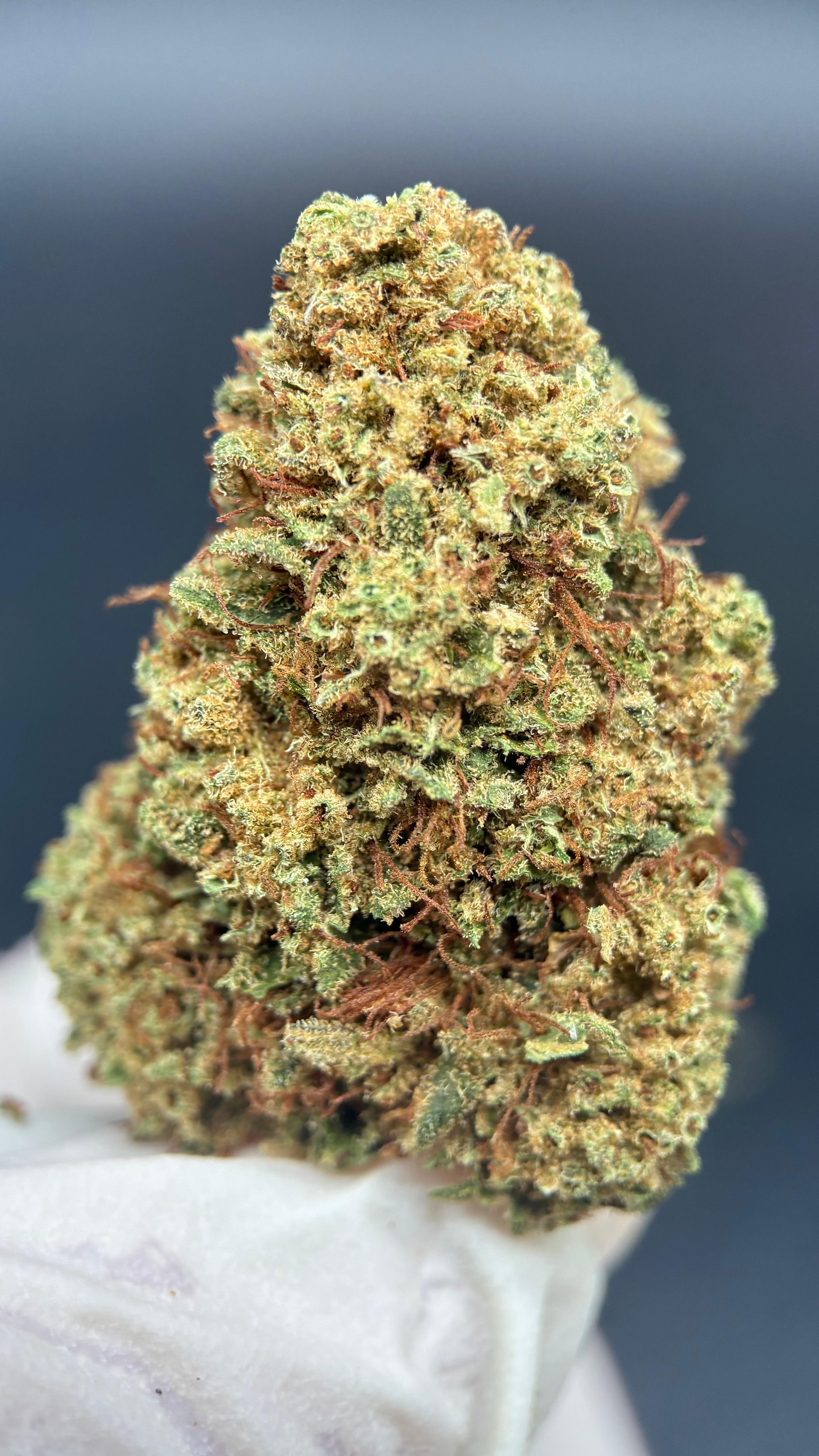 SHERBLATO Susz konopny CBD DELUXE