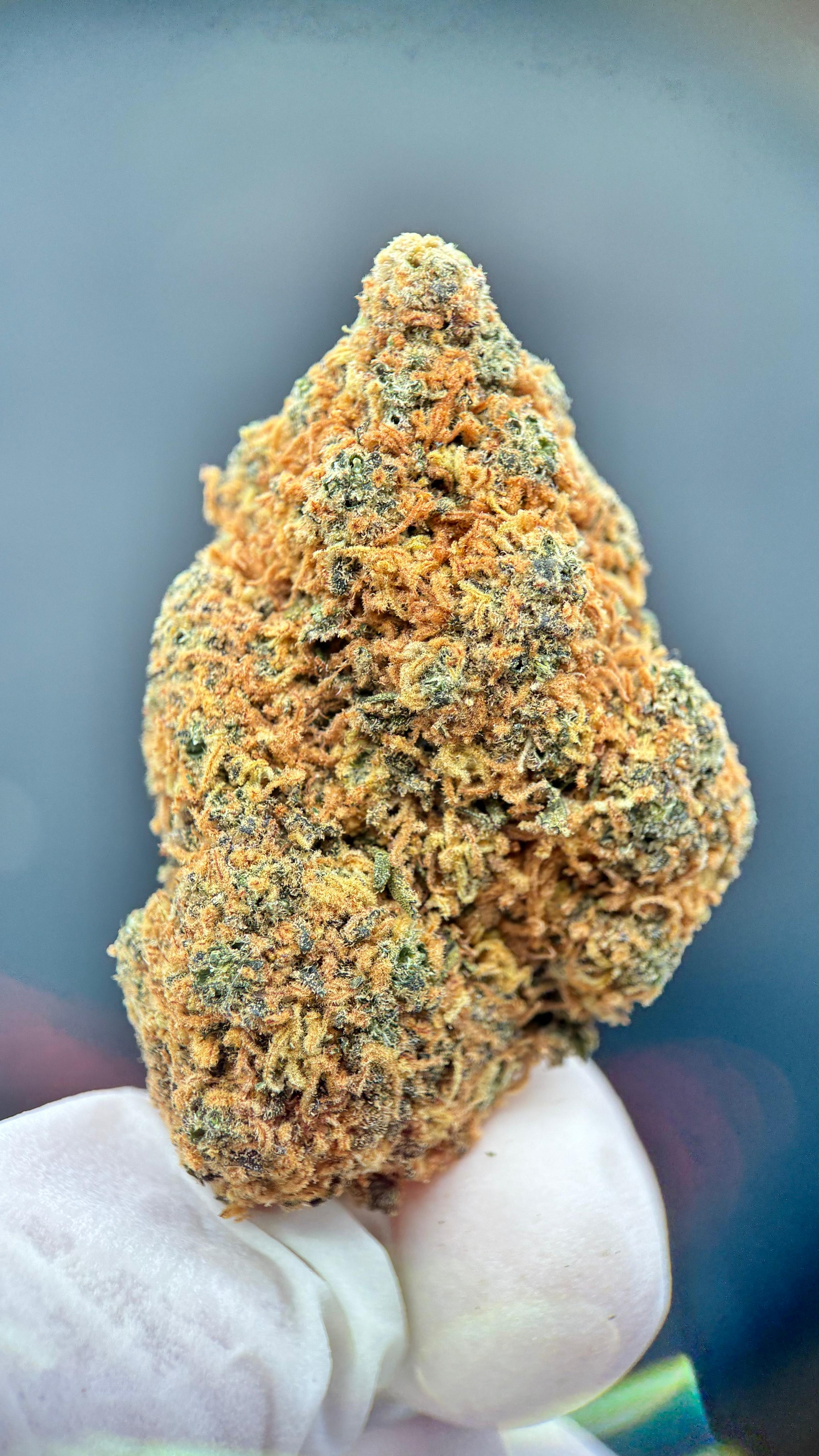 SOURNOVA Susz konopny CBD DELUXE