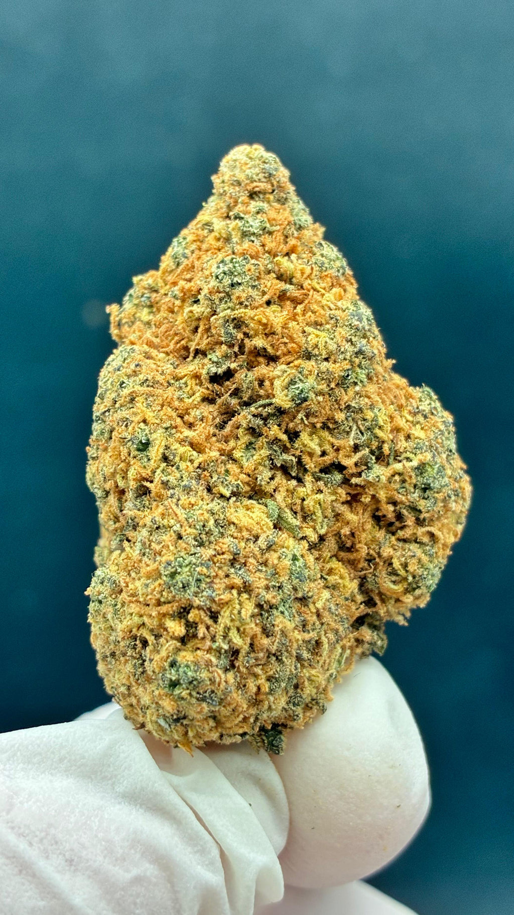 SOURNOVA Susz konopny CBD DELUXE
