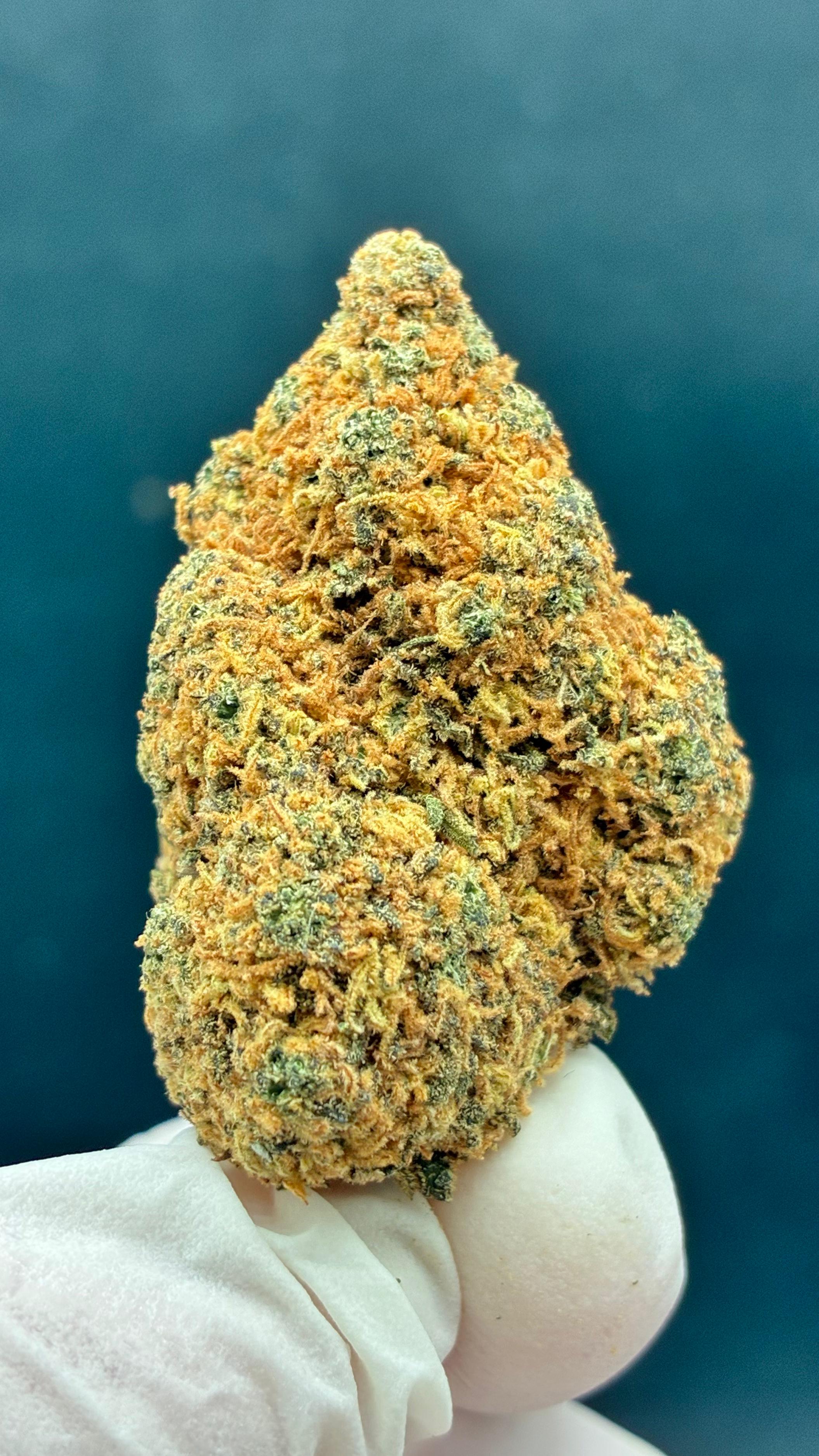 SOURNOVA Susz konopny CBD DELUXE