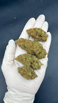 WATERMELON Susz konopny CBD DELUXE