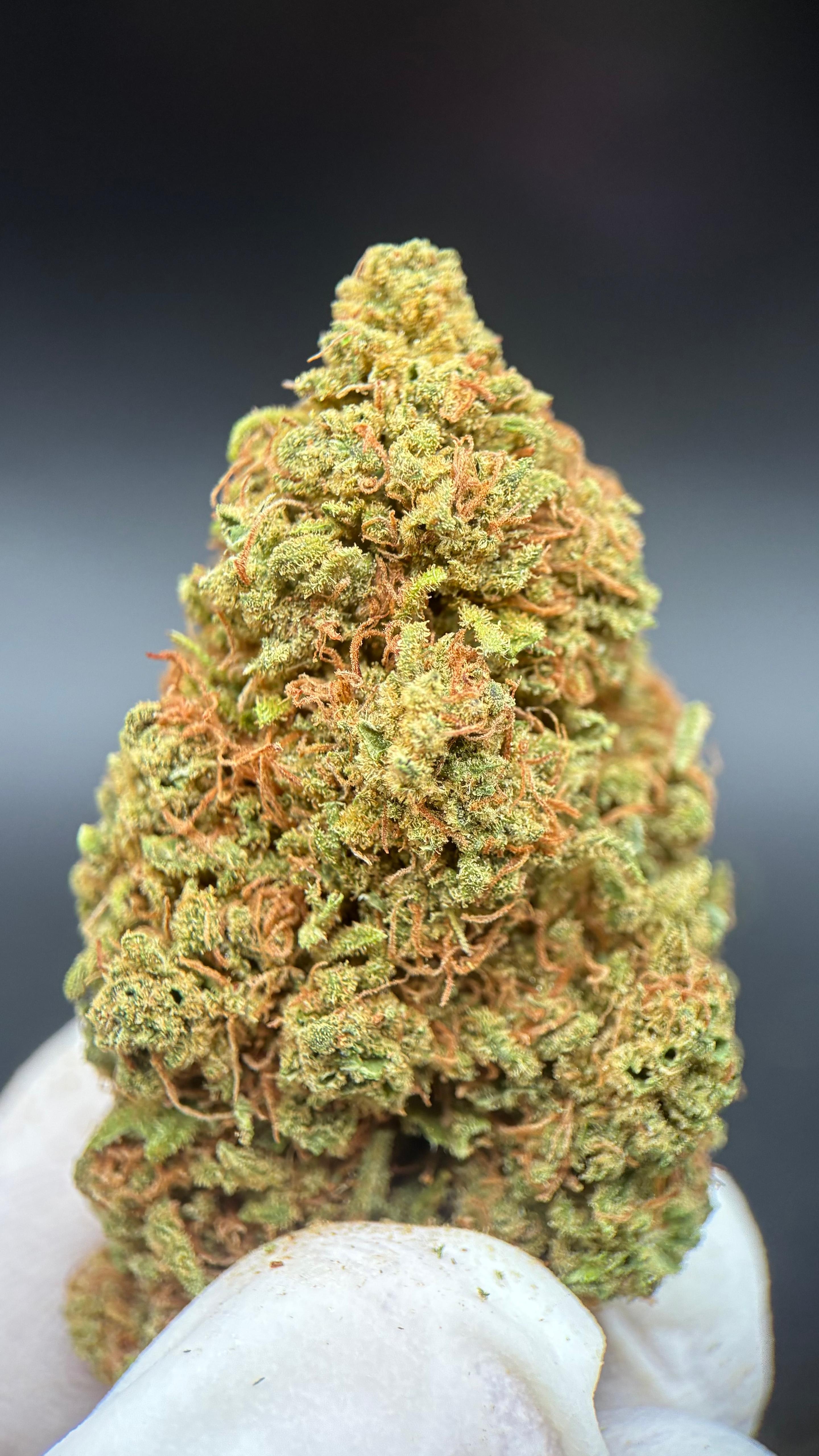 WATERMELON Susz konopny CBD DELUXE