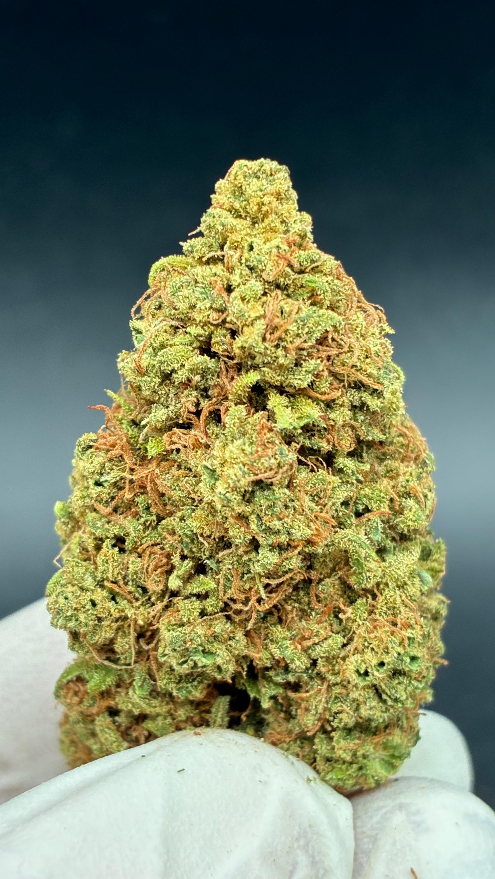 WATERMELON Susz konopny CBD DELUXE