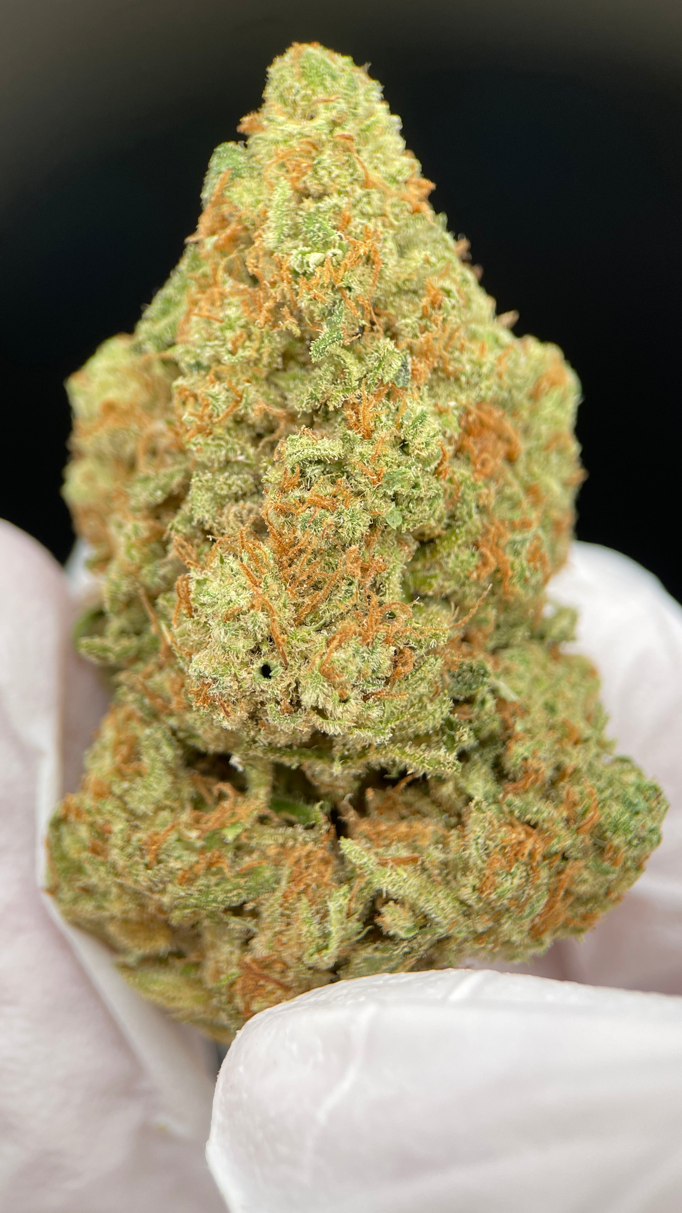 AMNESIA HAZE Susz konopny CBD EXCLUSIVE