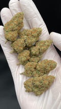 GIRL SCOUT COOKIES Susz konopny CBD EXCLUSIVE