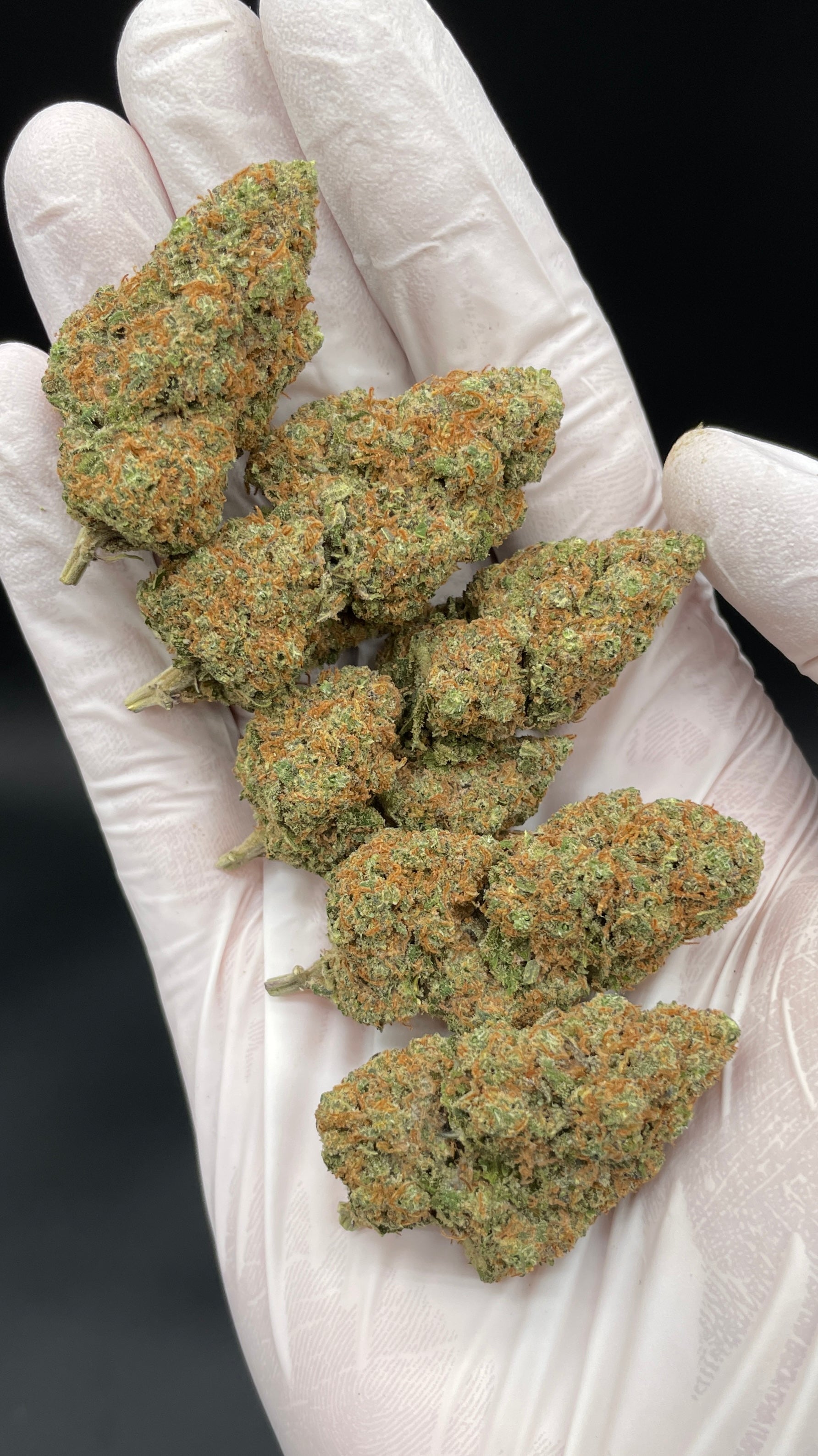 GIRL SCOUT COOKIES Susz konopny CBD EXCLUSIVE