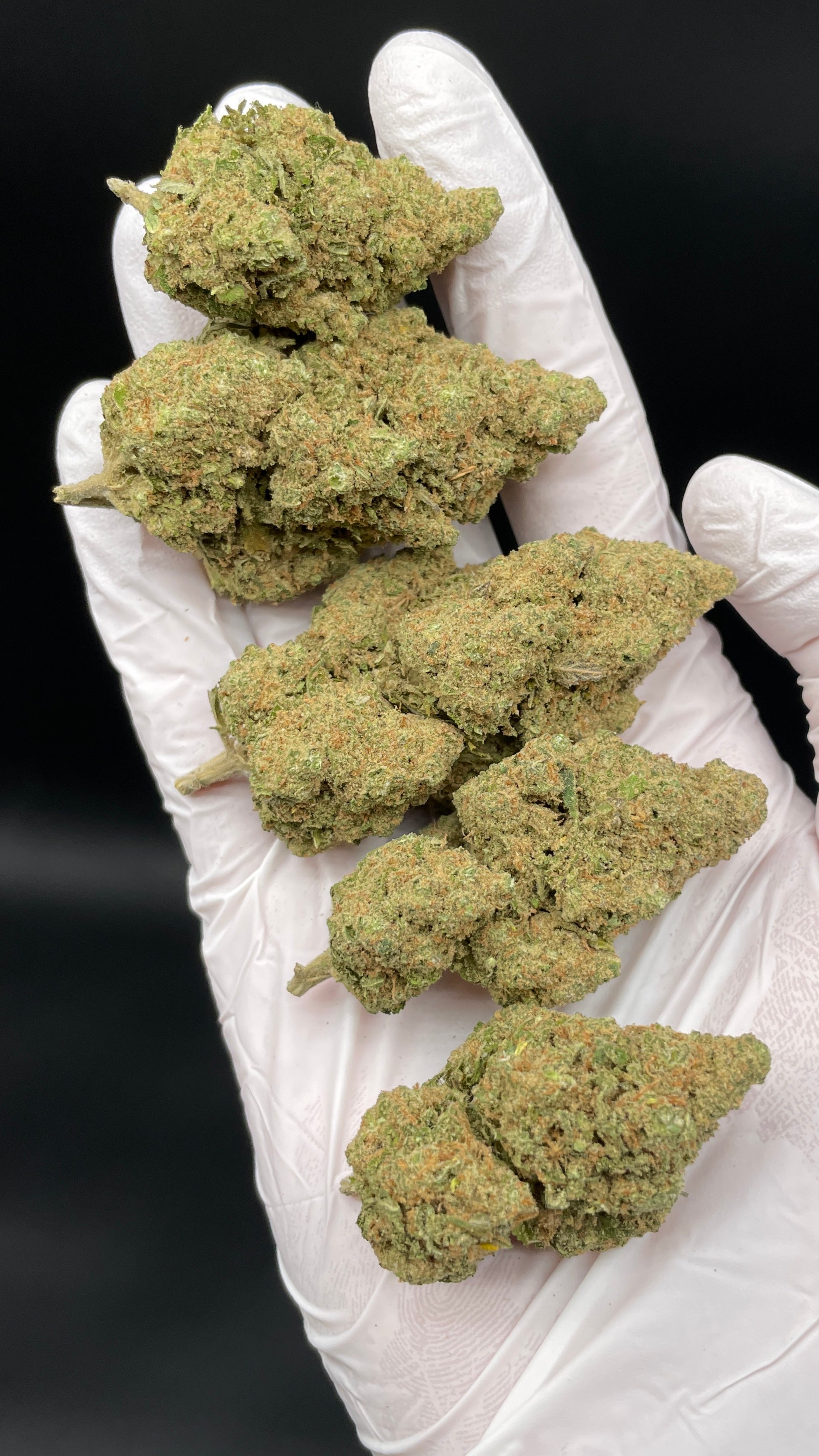 GLOOKIES Susz konopny CBD EXCLUSIVE