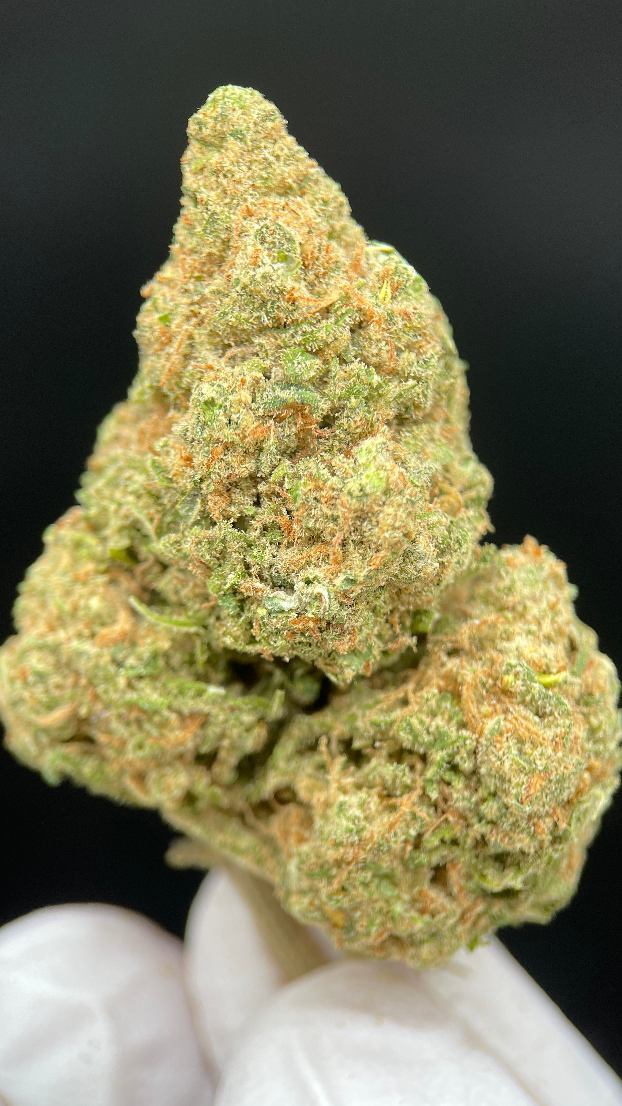 GLOOKIES Susz konopny CBD EXCLUSIVE