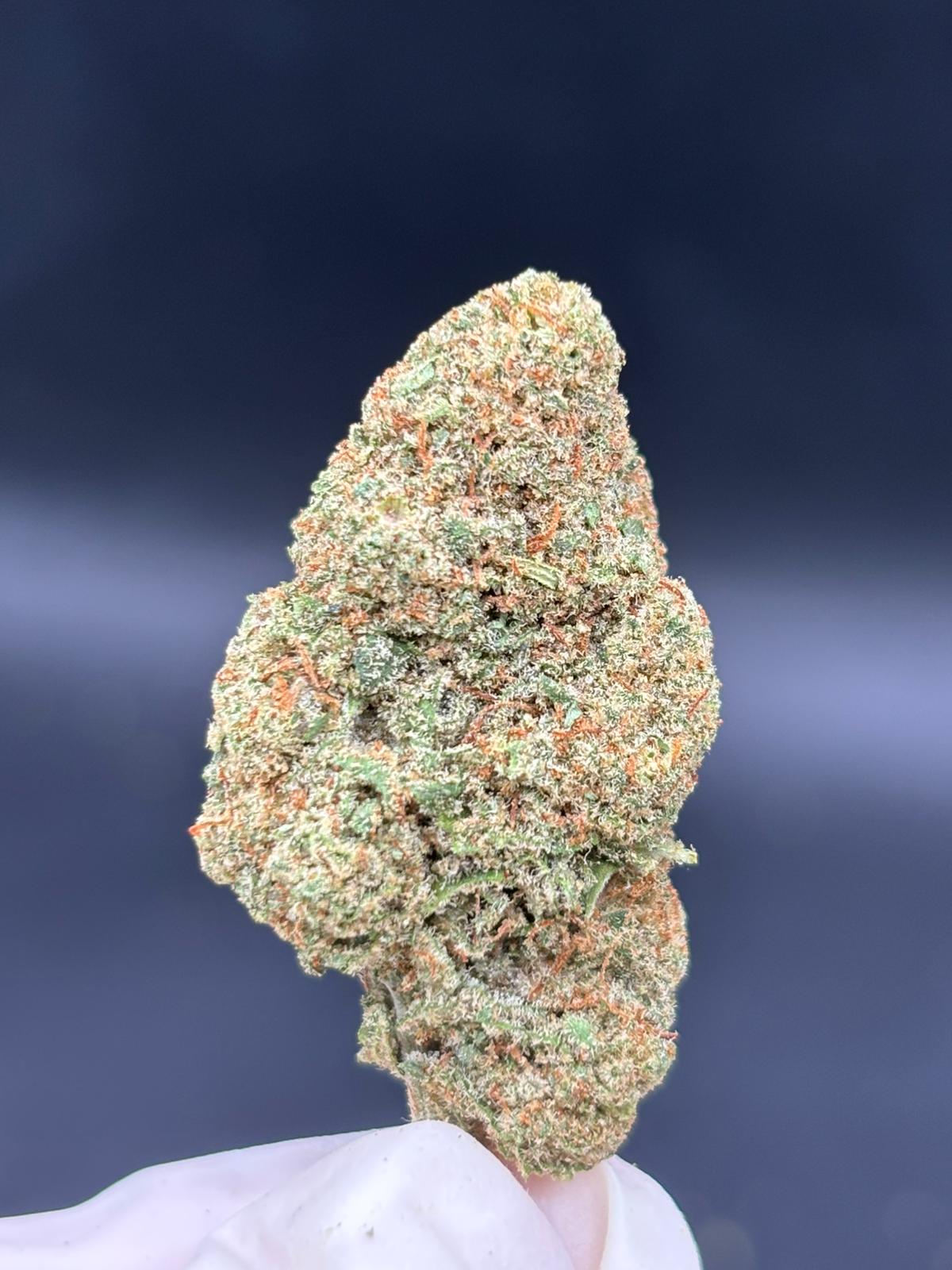 GRAPE N’CHEESE Susz konopny CBD EXCLUSIVE