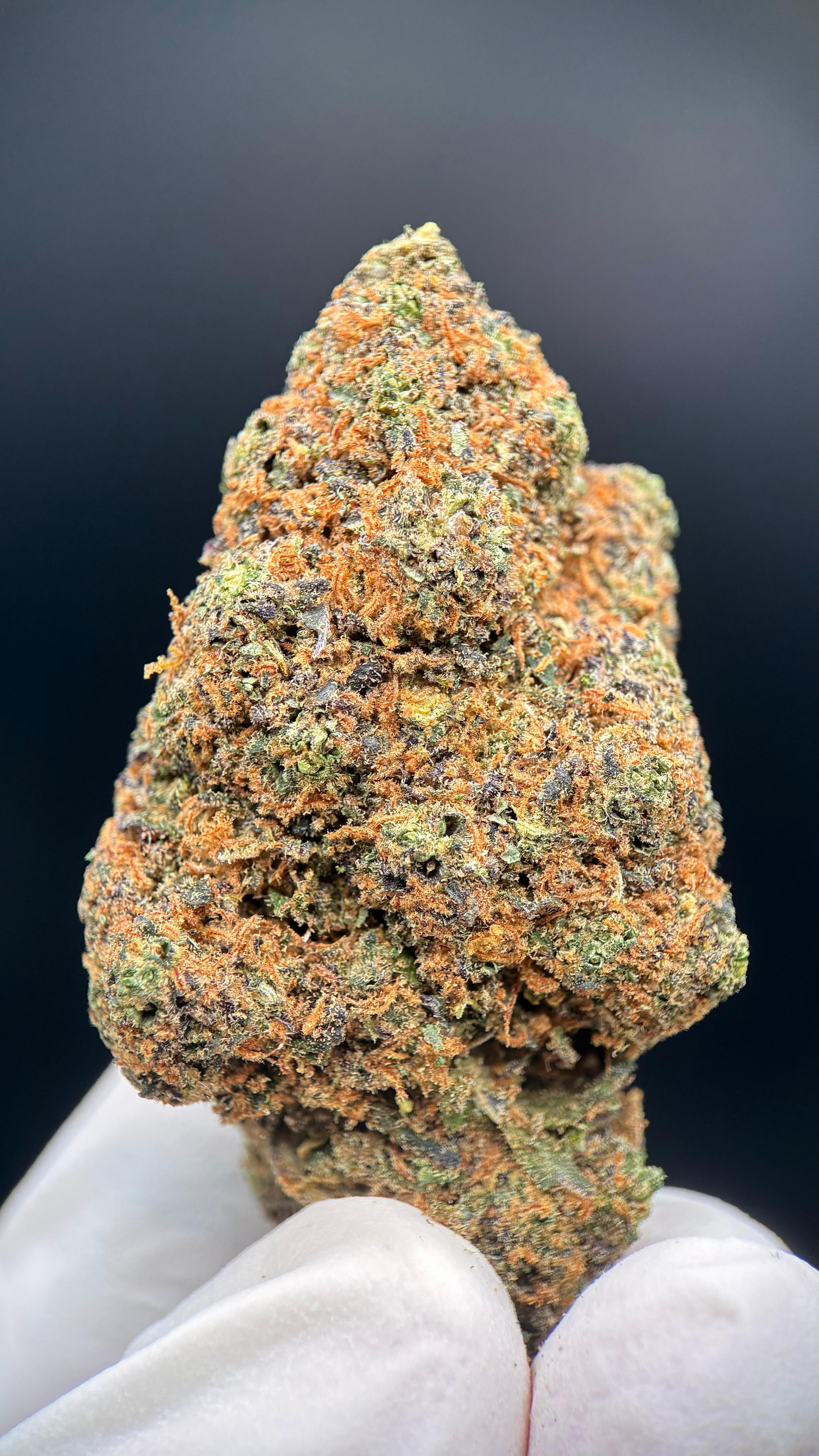 GRAPE N'CREAM Susz konopny CBD EXCLUSIVE