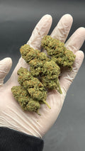LIBERTY HAZE Susz konopny CBD EXCLUSIVE