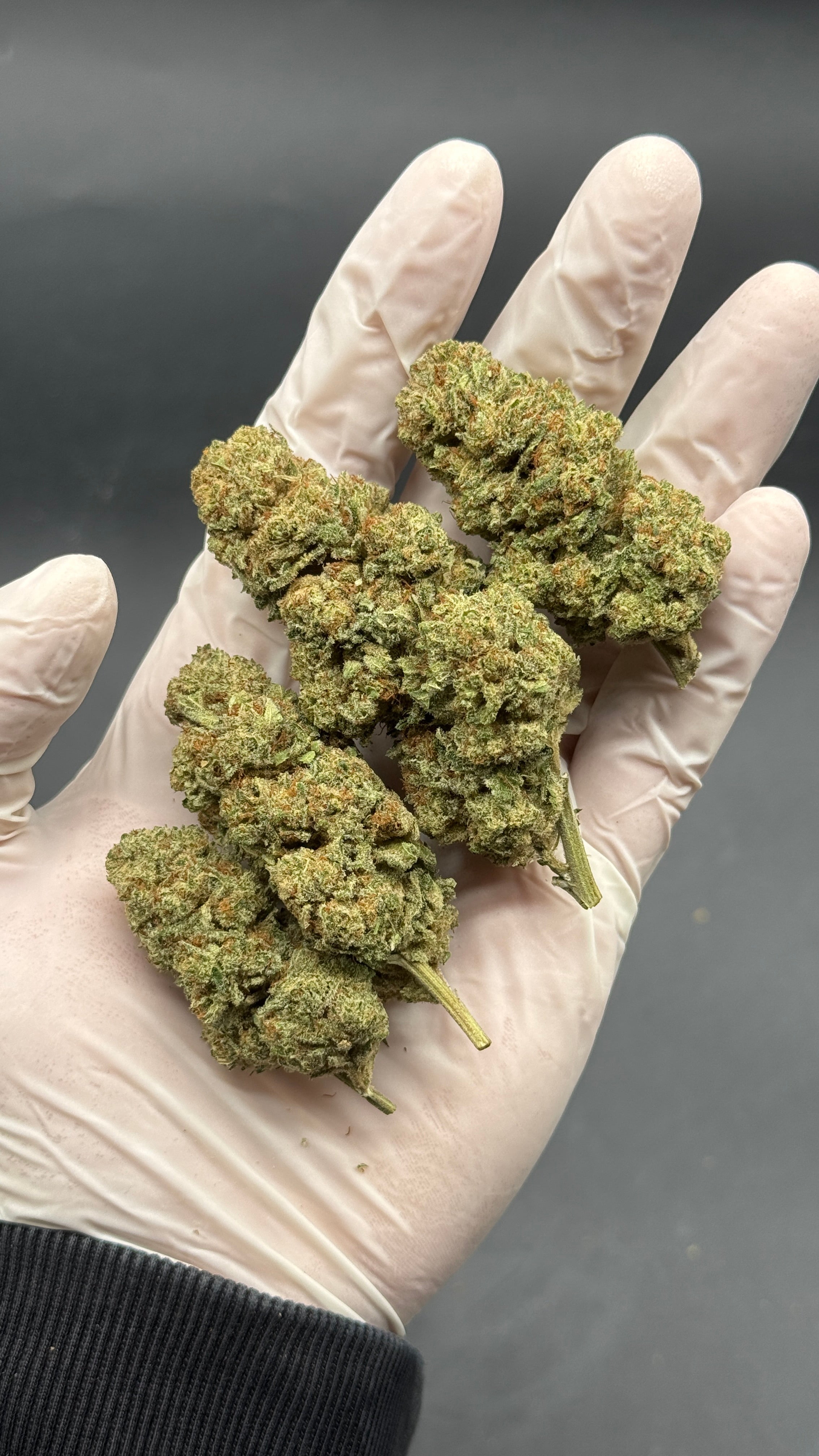 LIBERTY HAZE Susz konopny CBD EXCLUSIVE