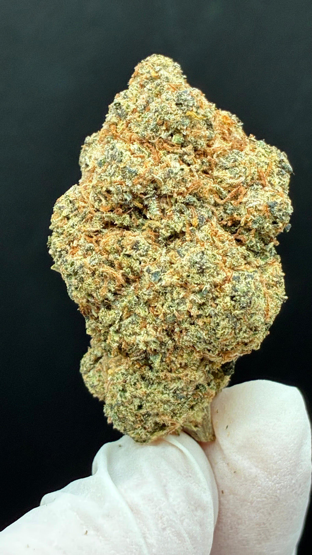 MAGIC MARKER Susz konopny CBD EXCLUSIVE