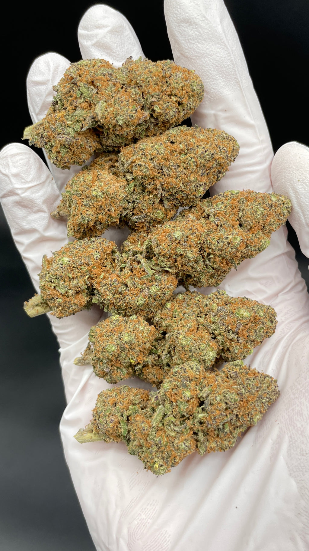 PURPLE PUNCH Susz konopny CBD EXCLUSIVE
