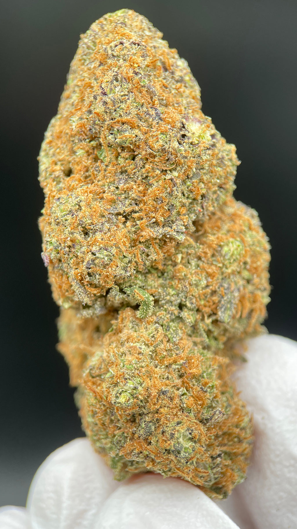 PURPLE PUNCH Susz konopny CBD EXCLUSIVE
