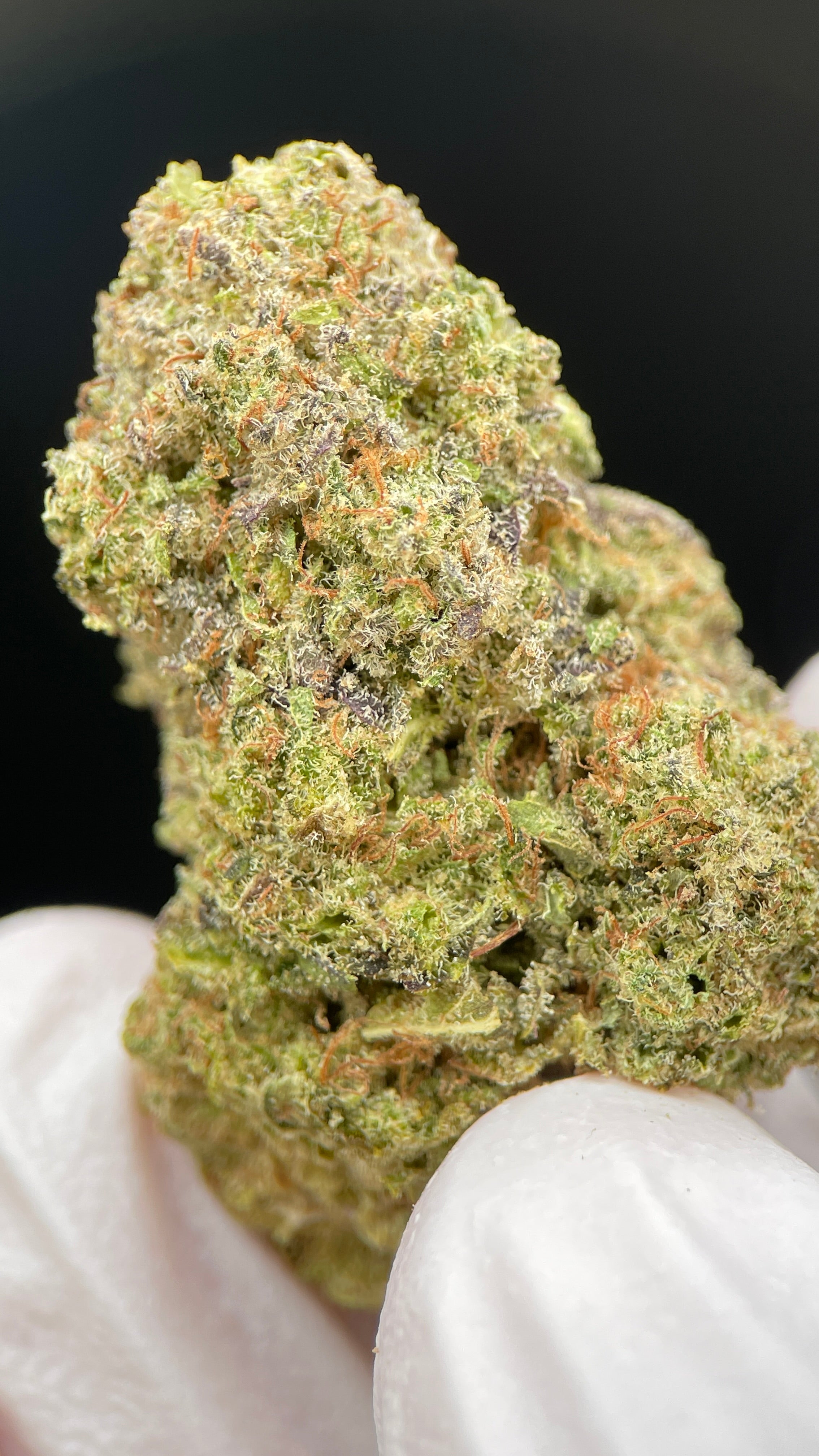 WEDDING CRASHER Susz konopny CBD EXCLUSIVE