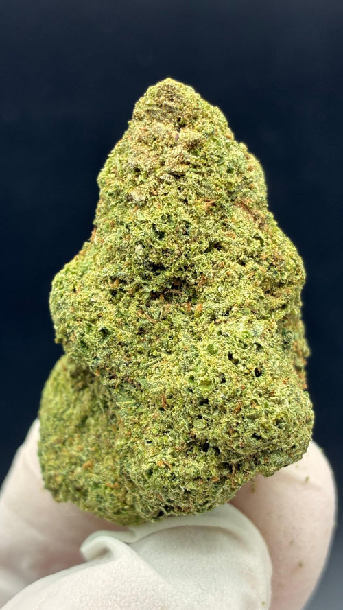 AMNESIA CRYO Susz konopny CBD PREMIUM