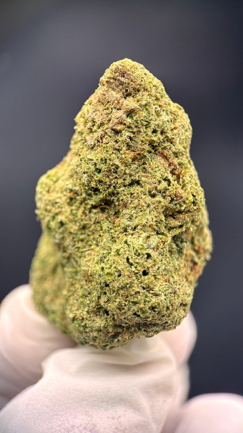 AMNESIA CRYO Susz konopny CBD PREMIUM
