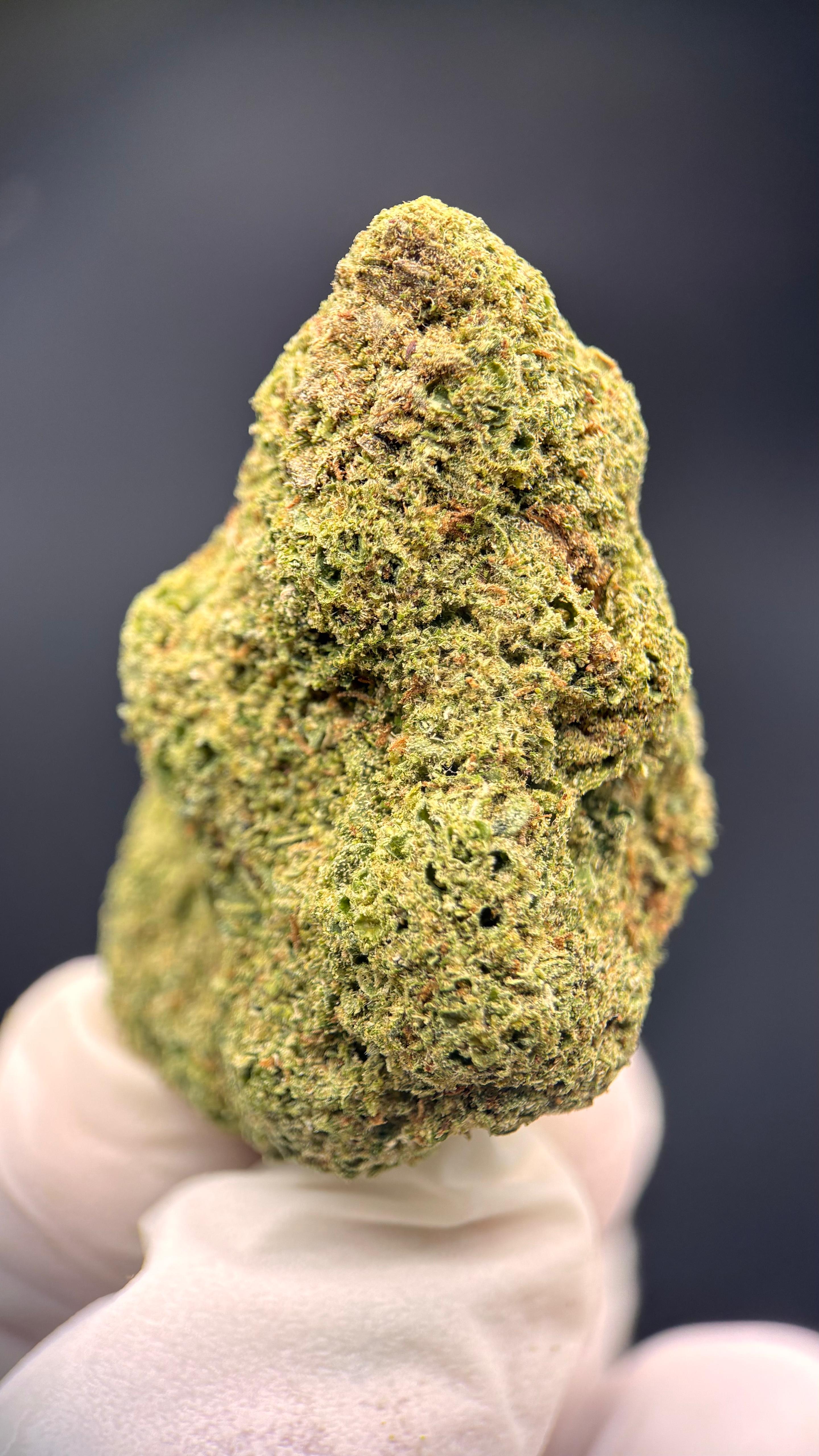 AMNESIA CRYO Susz konopny CBD PREMIUM