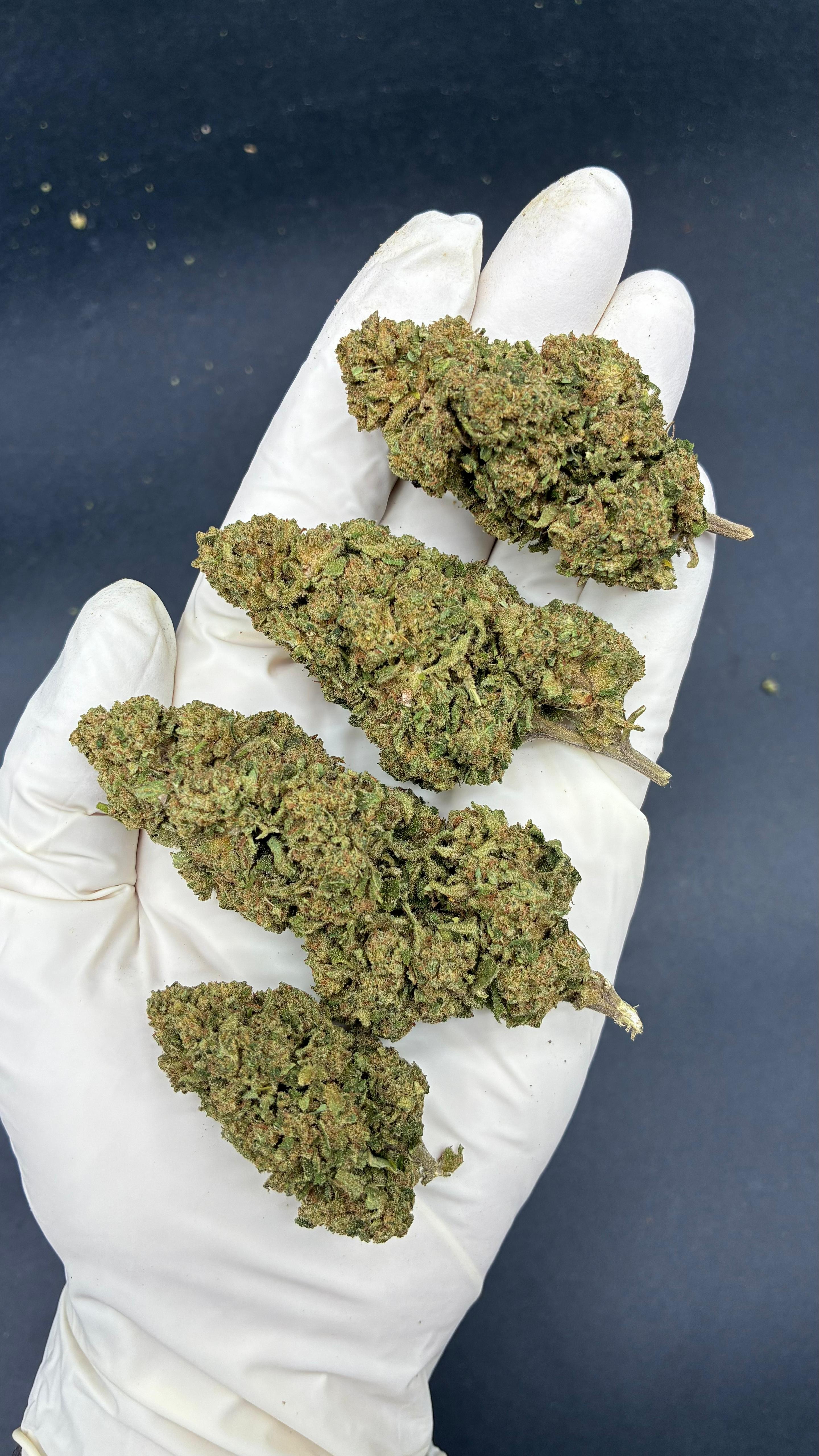 BANANA SMASH Susz konopny CBD PREMIUM