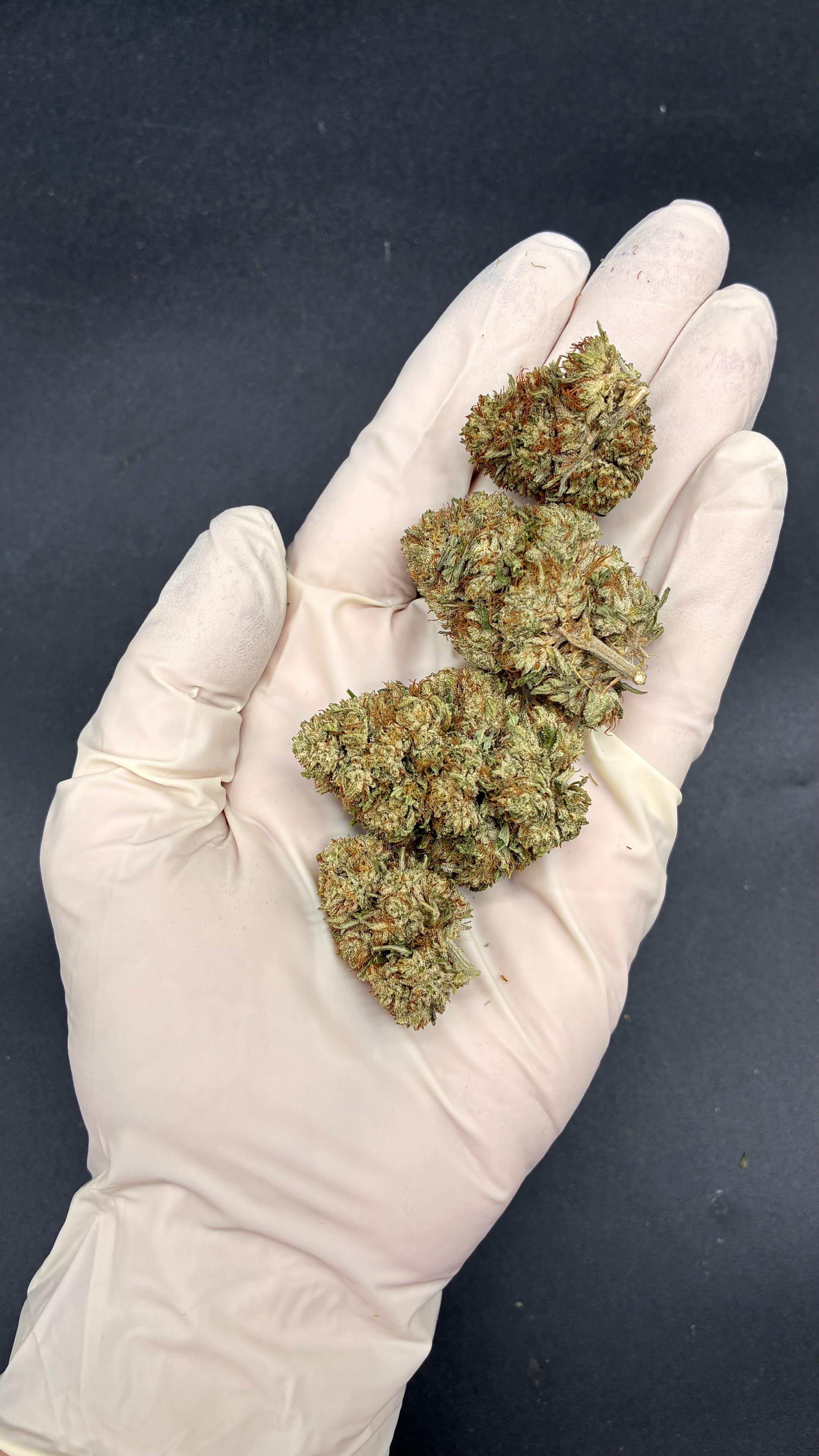 BLUE DREAM CBG Susz konopny CBD PREMIUM