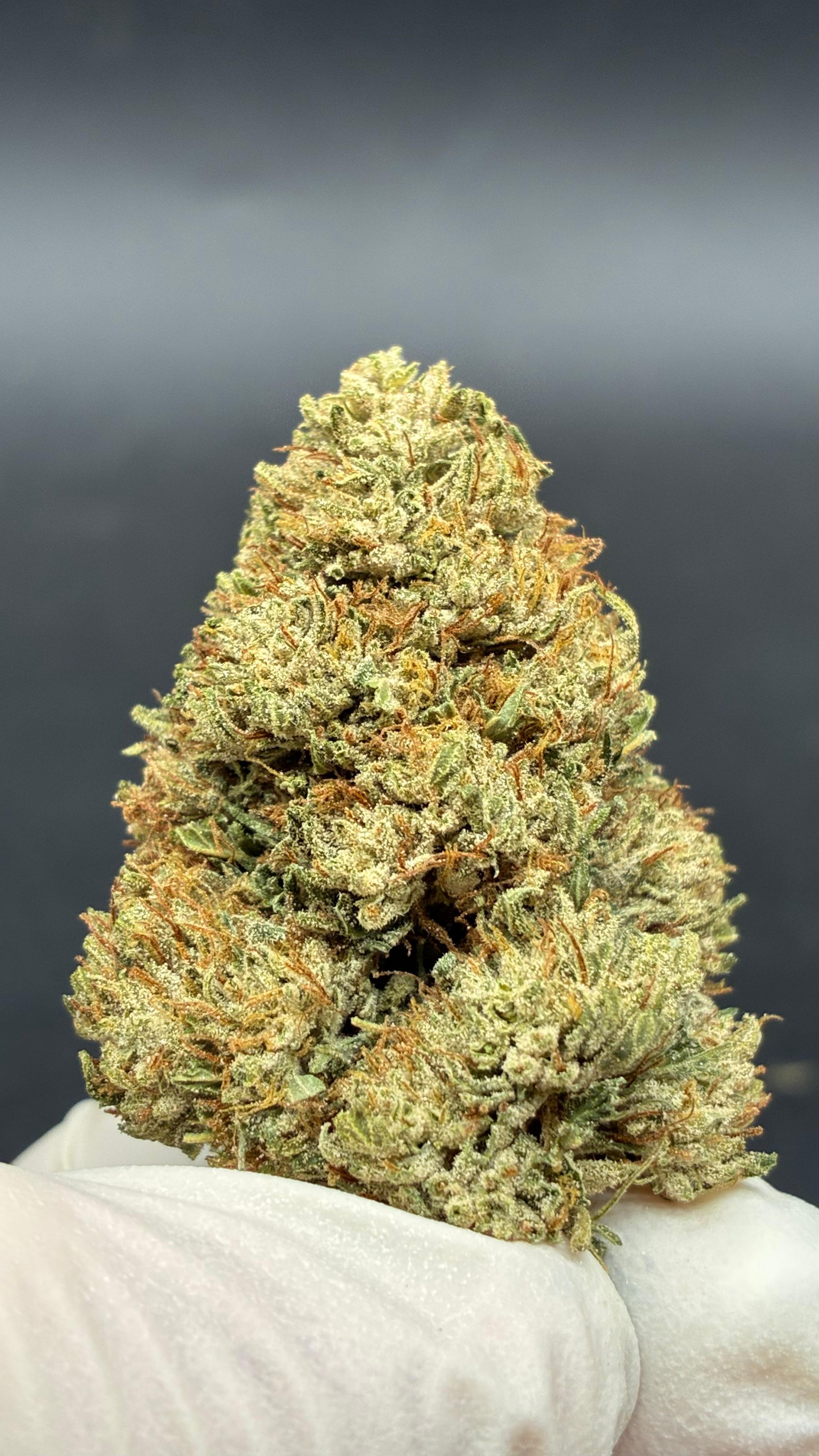 BLUE DREAM CBG Susz konopny CBD PREMIUM