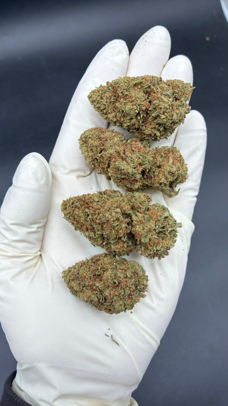 BUDDHA CARAMEL Susz konopny CBD PREMIUM